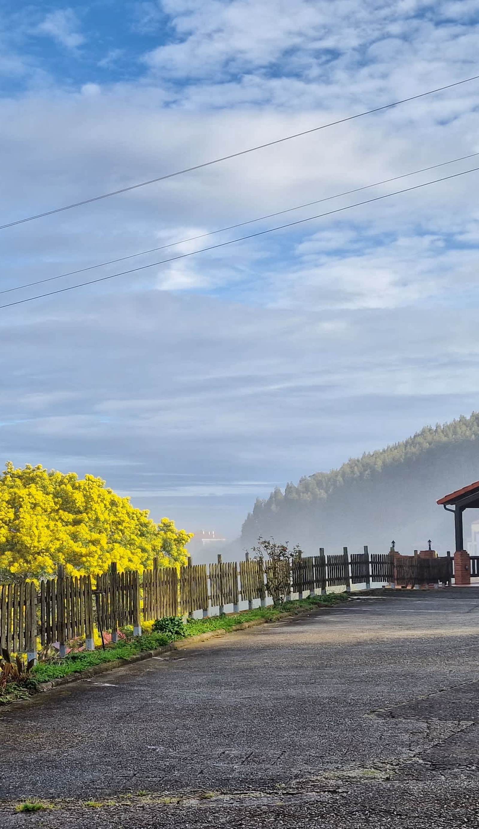 Las Mimosas del Nalón