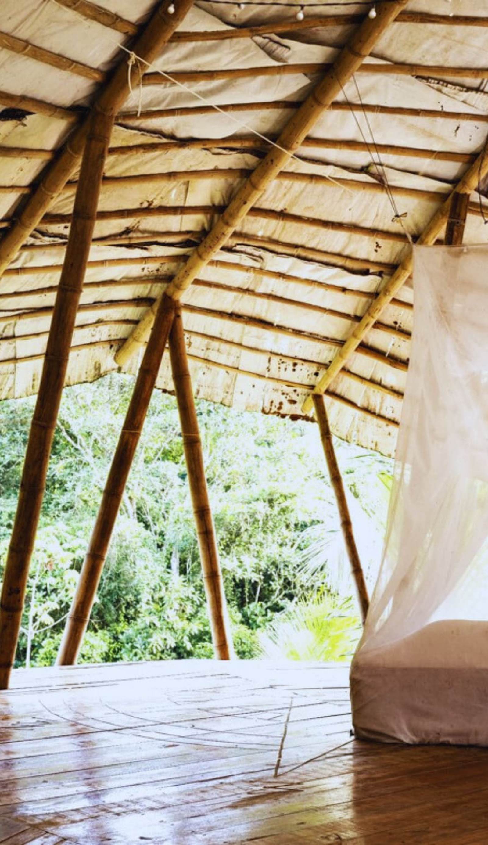 Blue Dot Jungle Eco Hostel