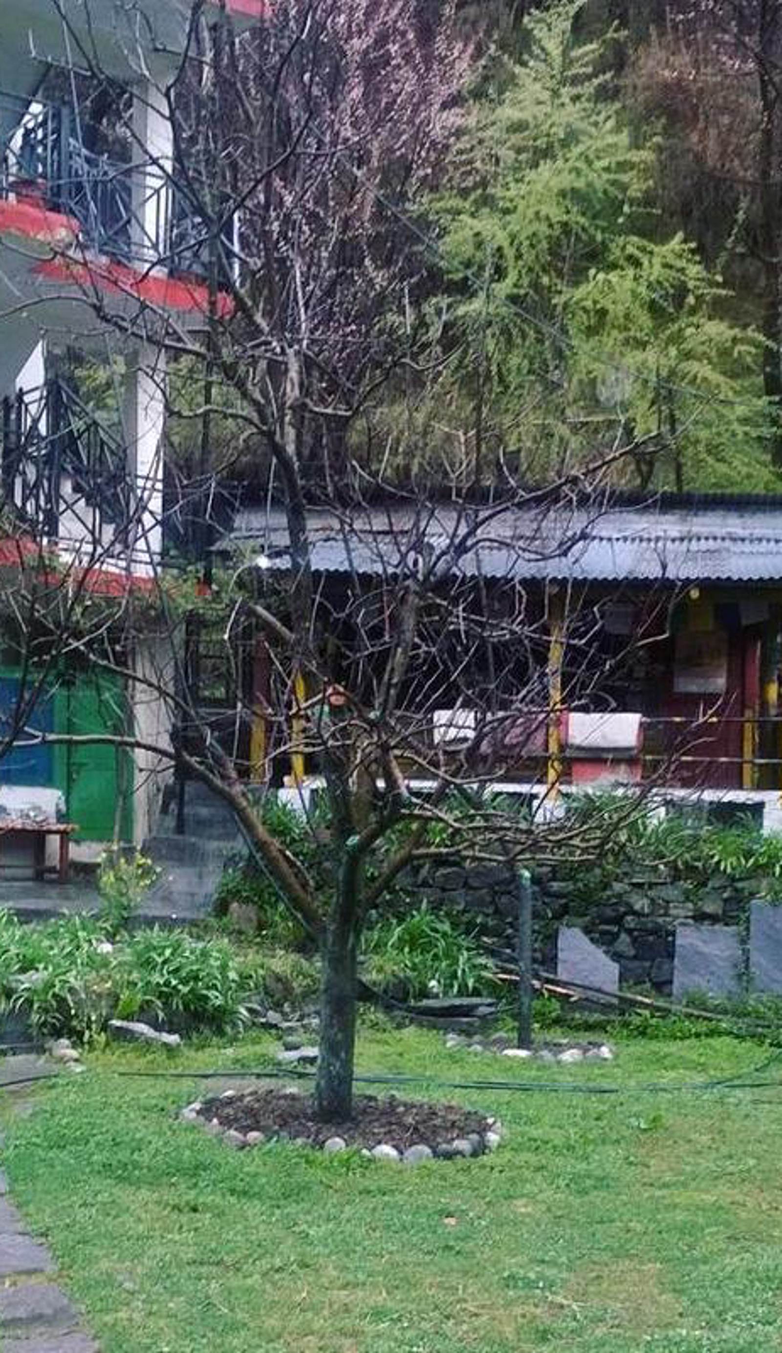 Rockway Hostel and Cafe