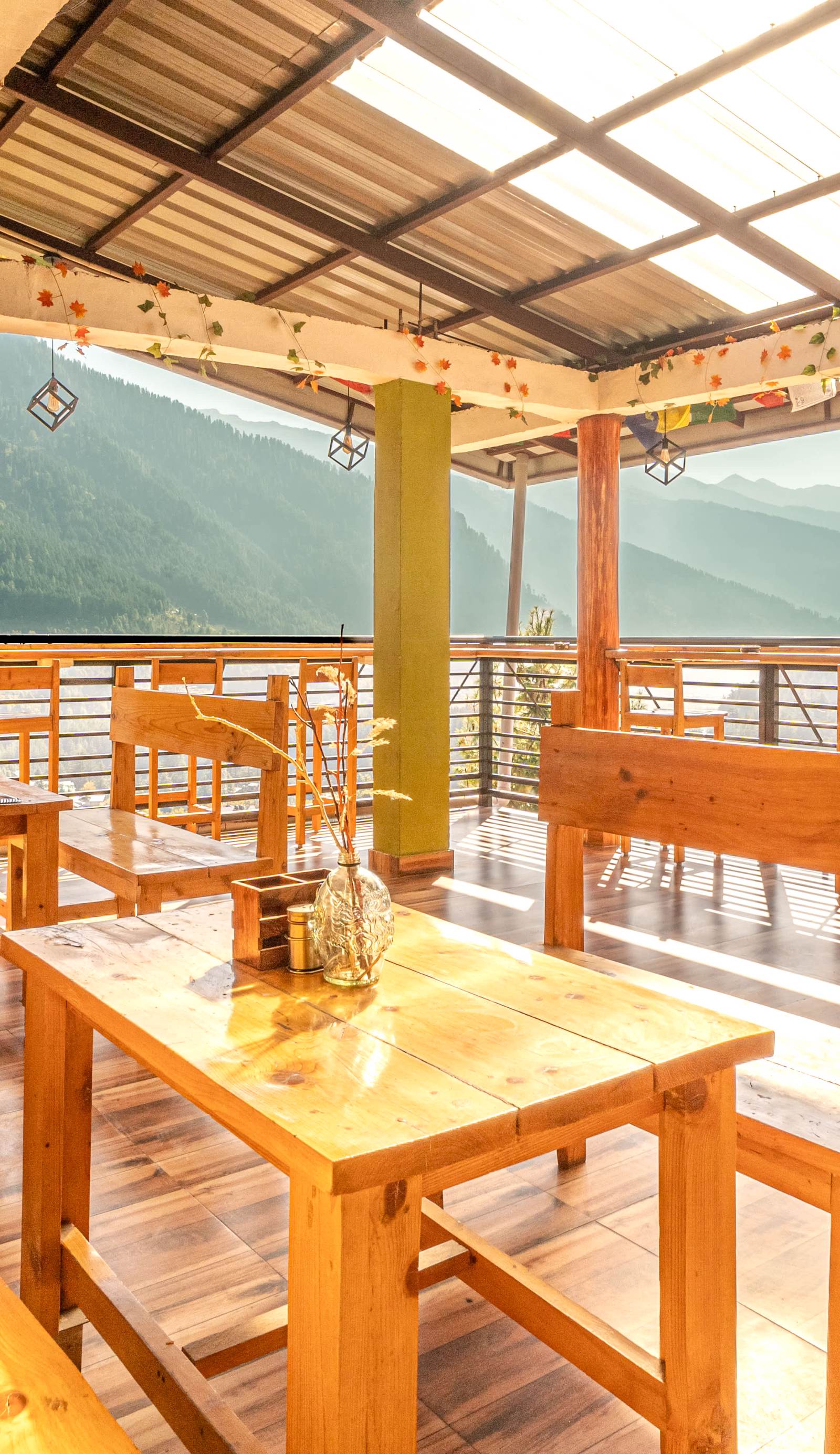 Timberwolves Manali