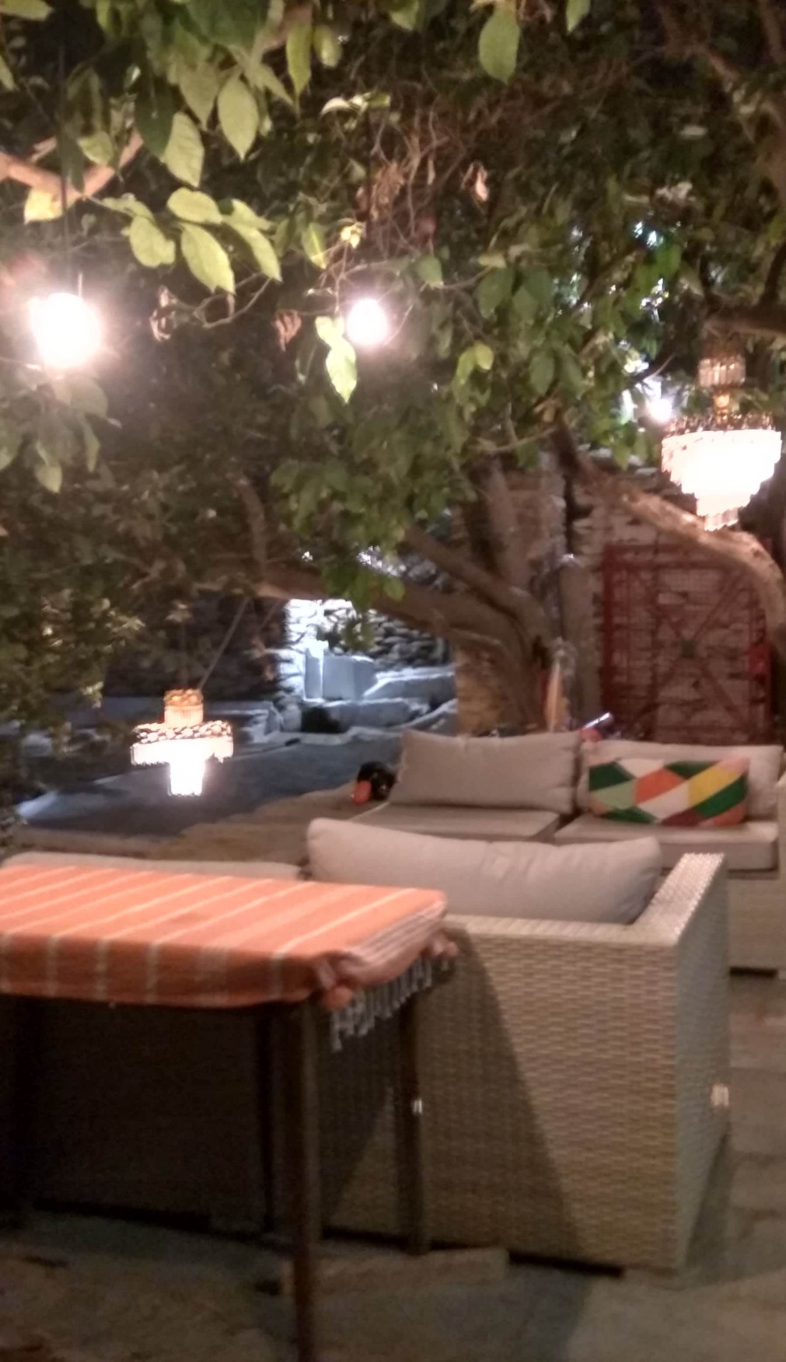 Lemon Tree Hostel