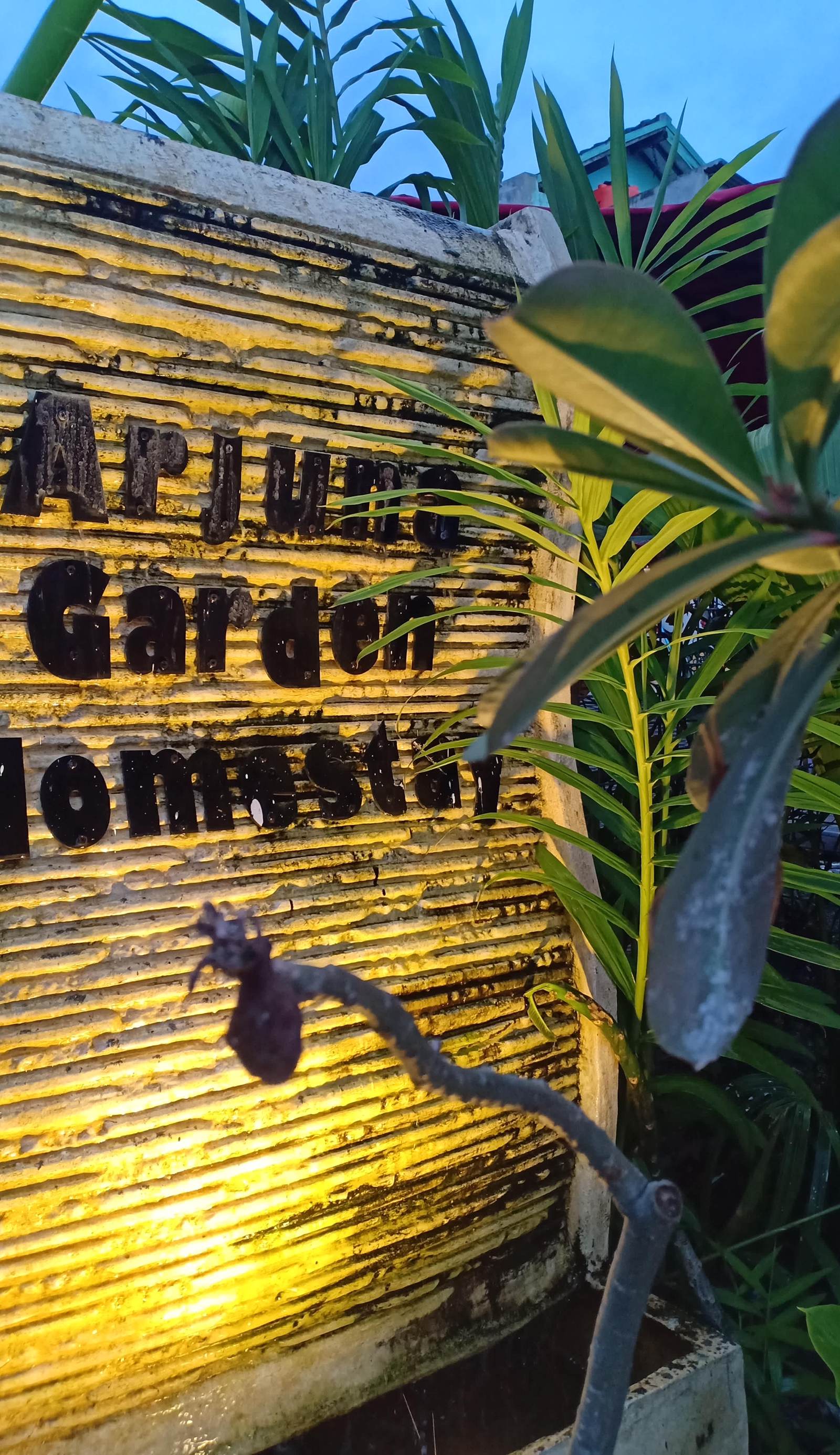 Arjuna Garden Homestay
