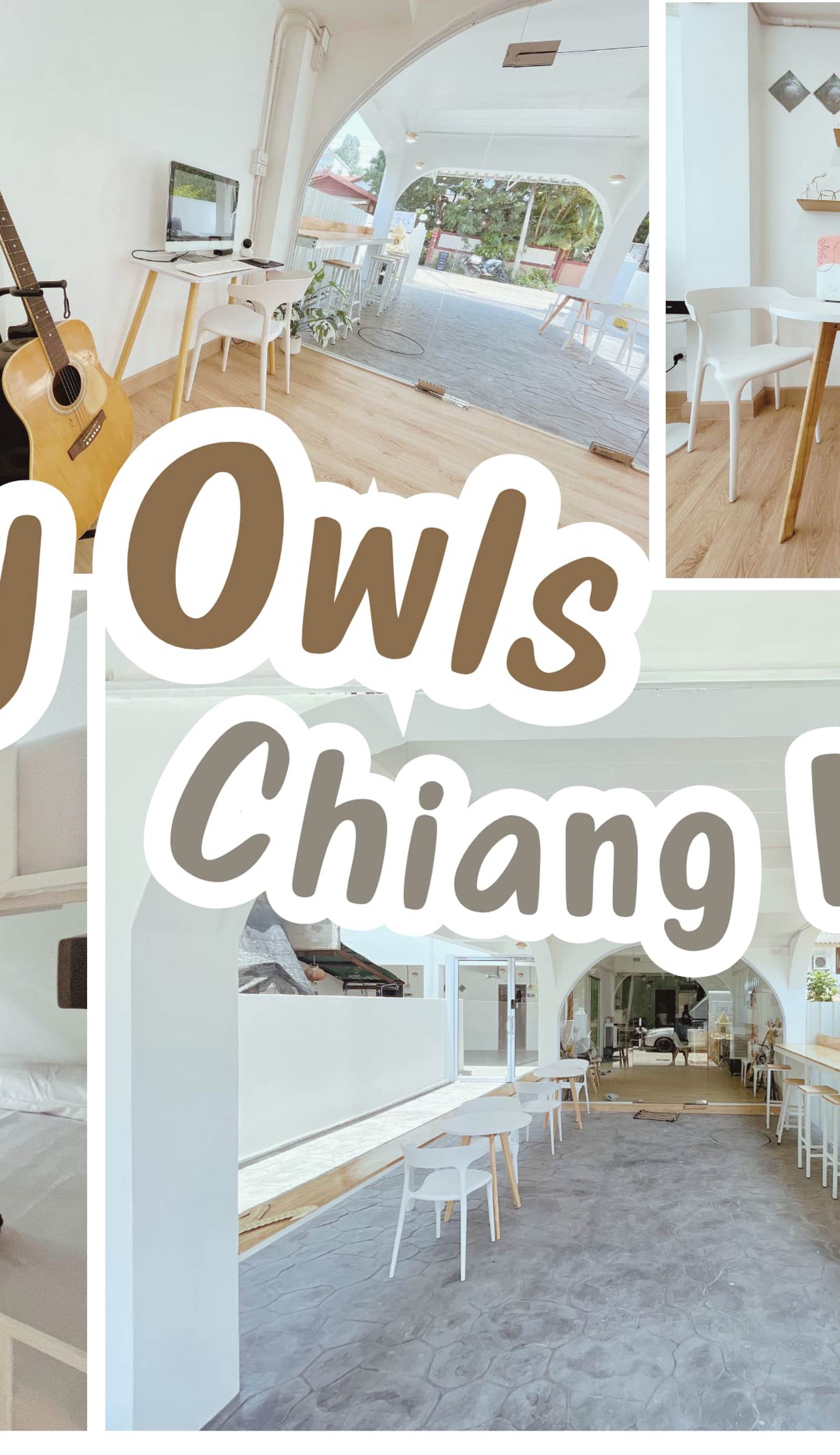 Cozy Owls Chiang Mai