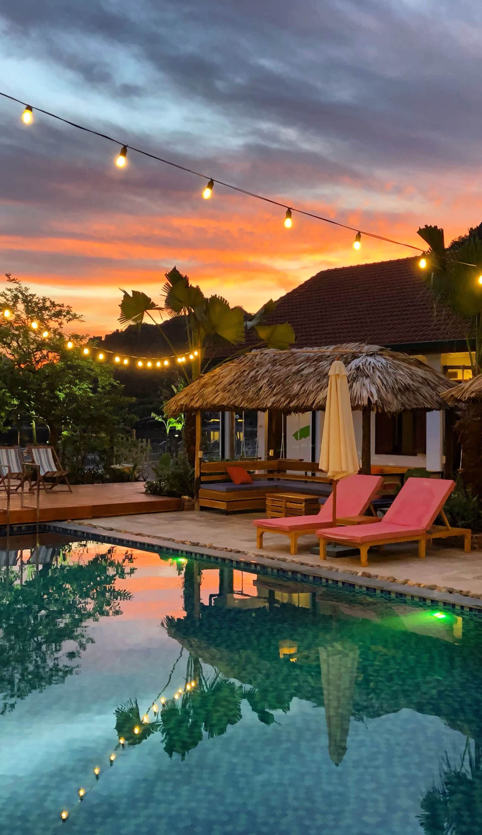 The Banana Tree Hostel