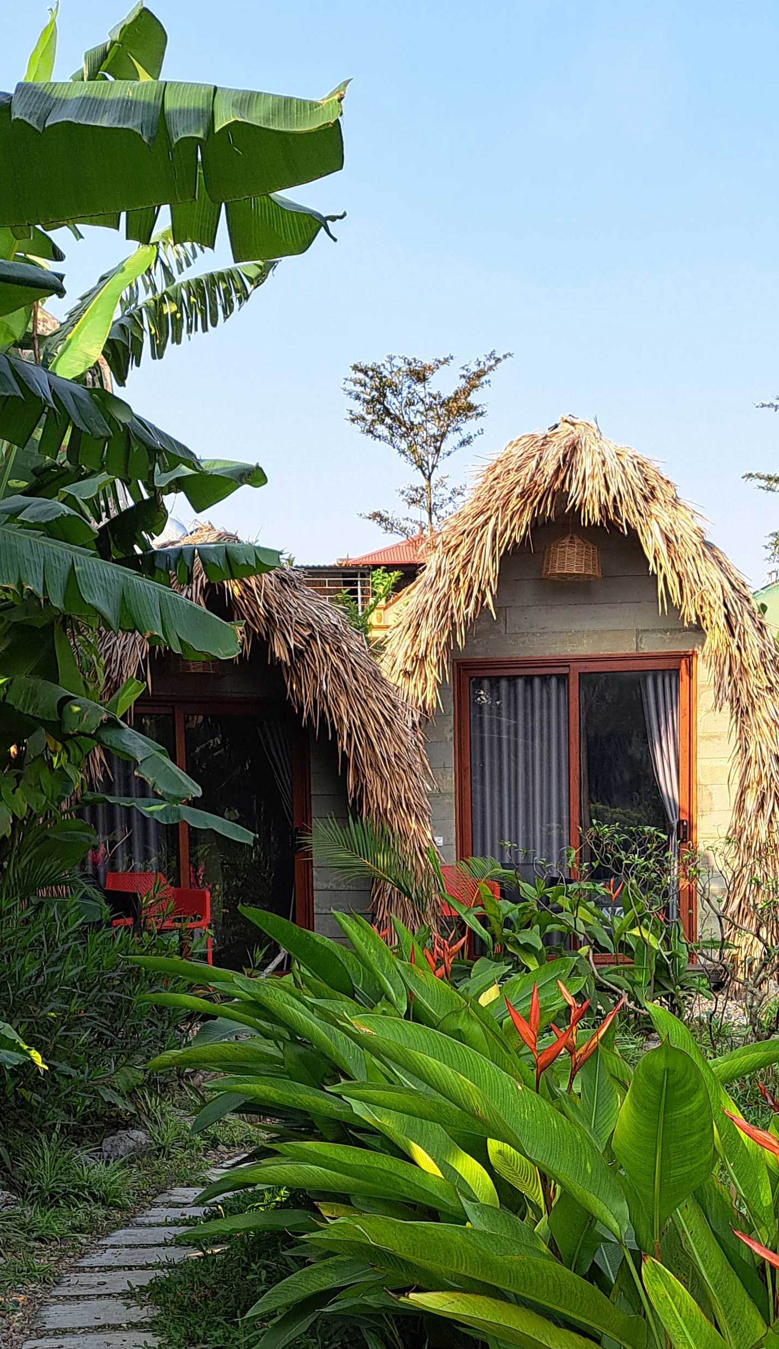 Amy House