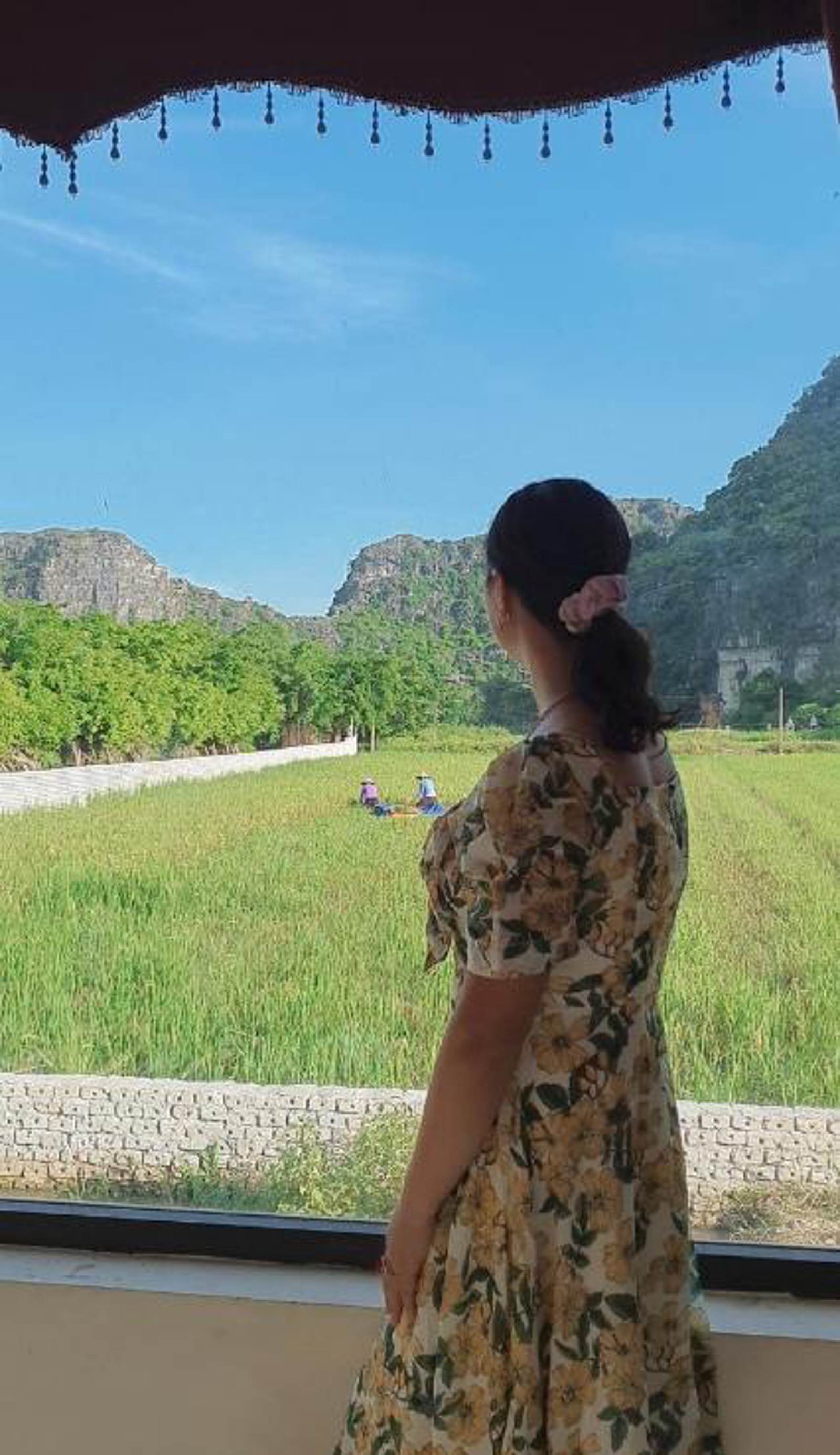 Trang An Rice Field Homestay