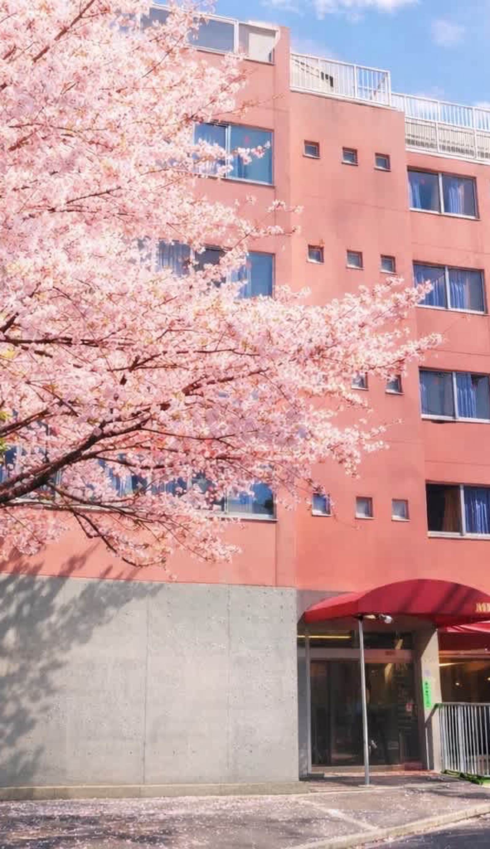 Sakura Hostel Asakusa