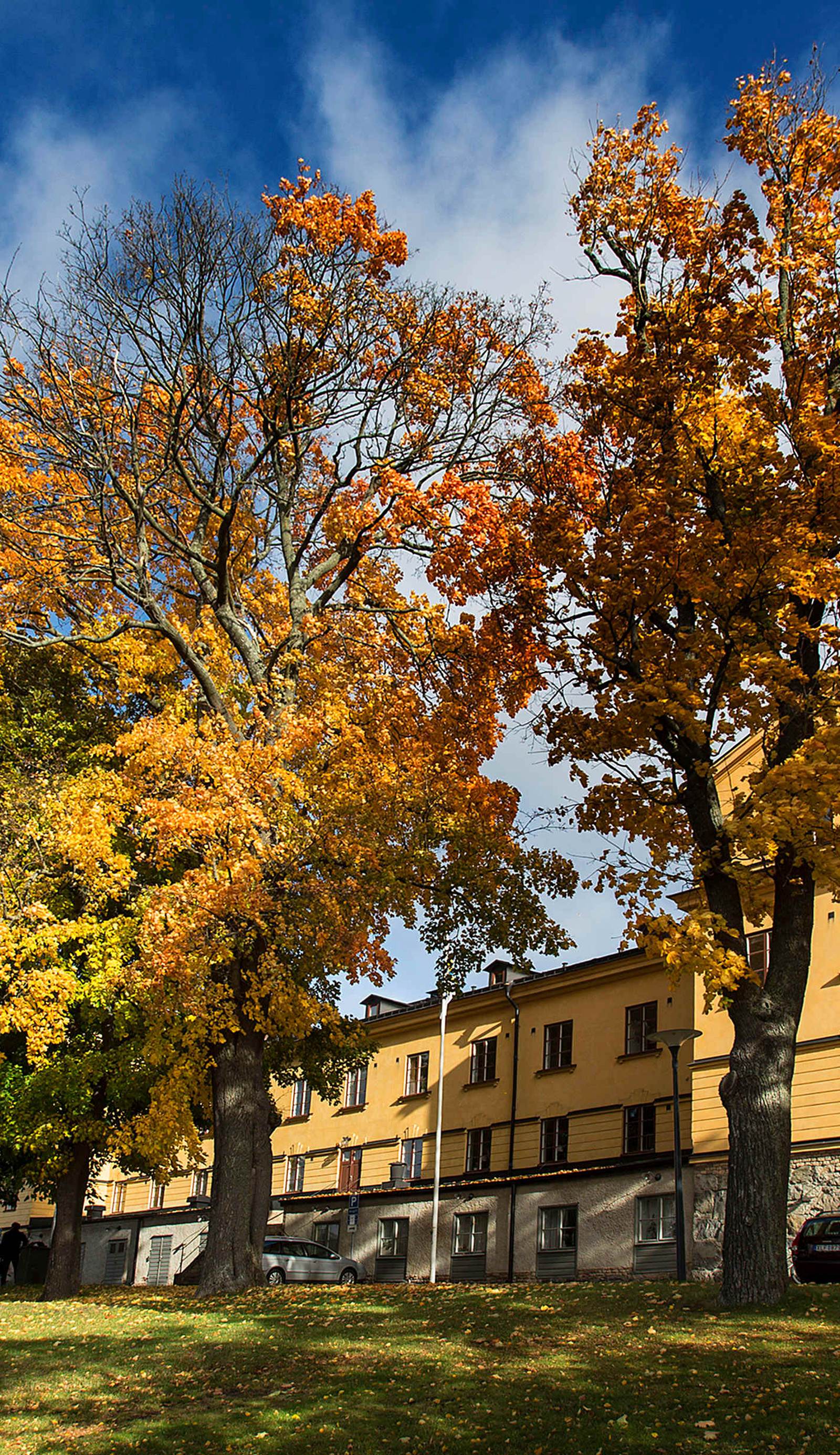 STF Stockholm Skeppsholmen