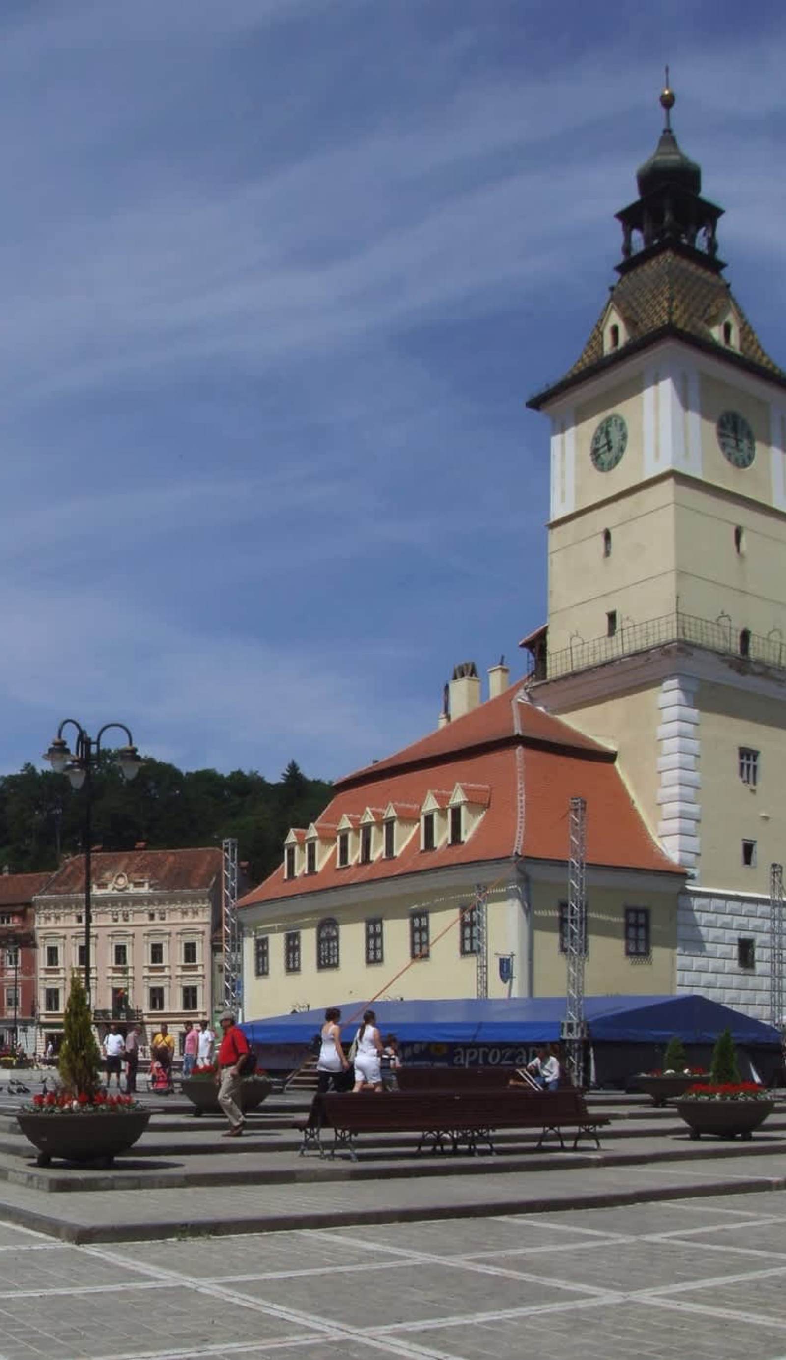 Main Square Apartments & More