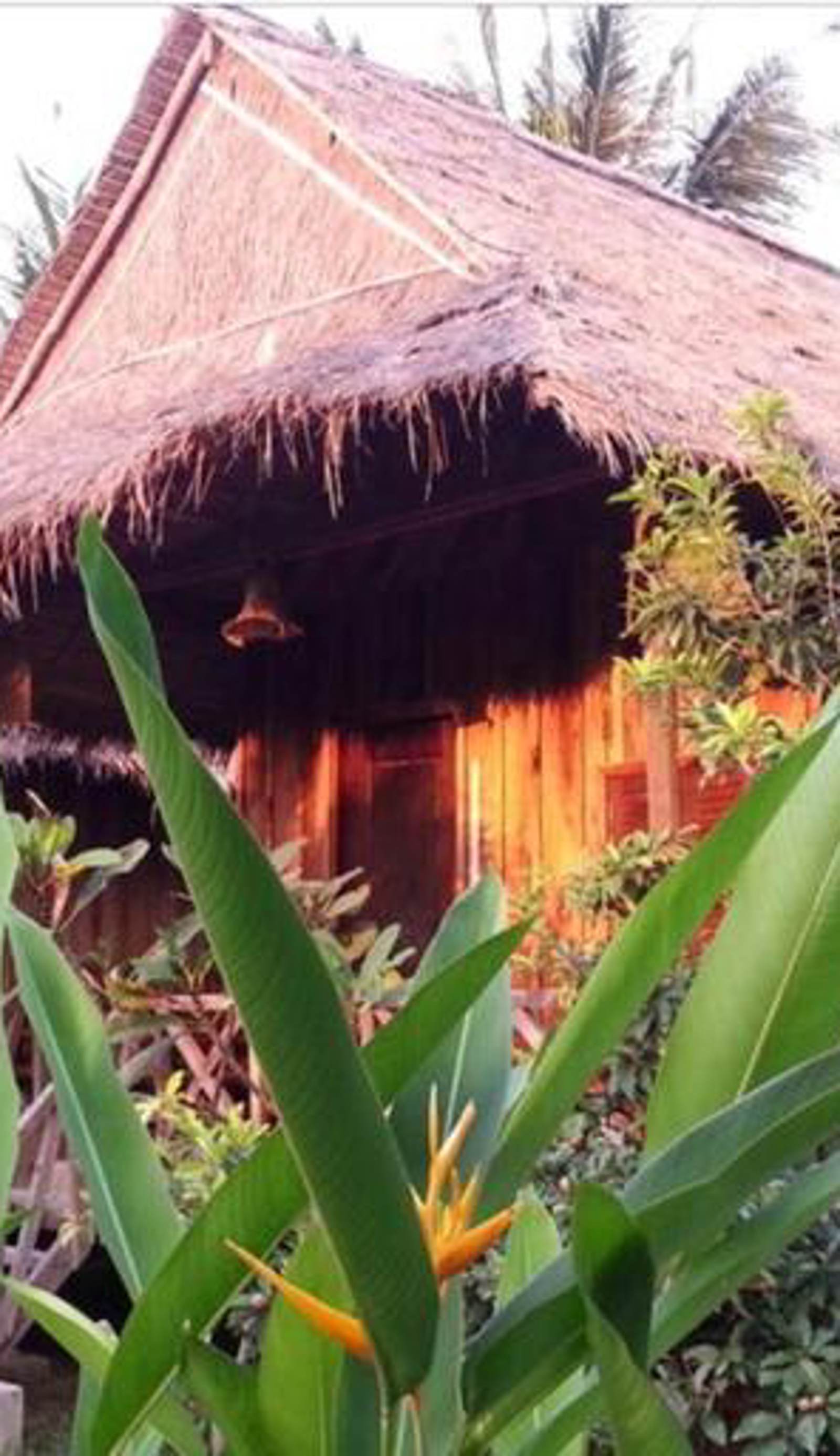 Bird of Paradise Bungalows