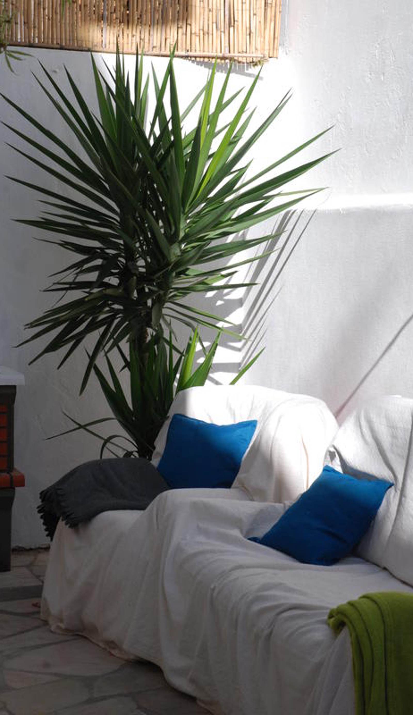 Olive Hostel Lagos