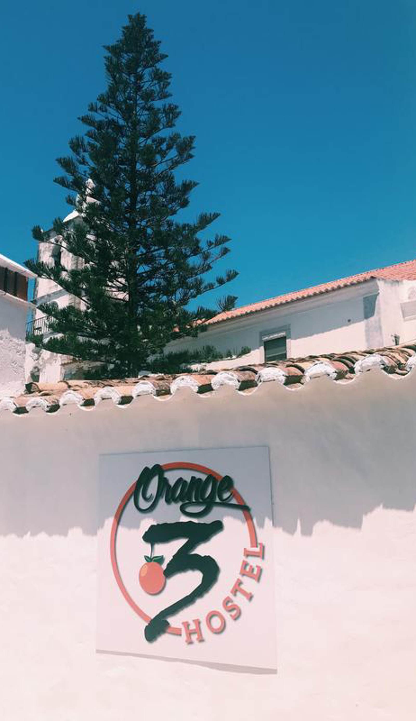 Orange3 Hostel