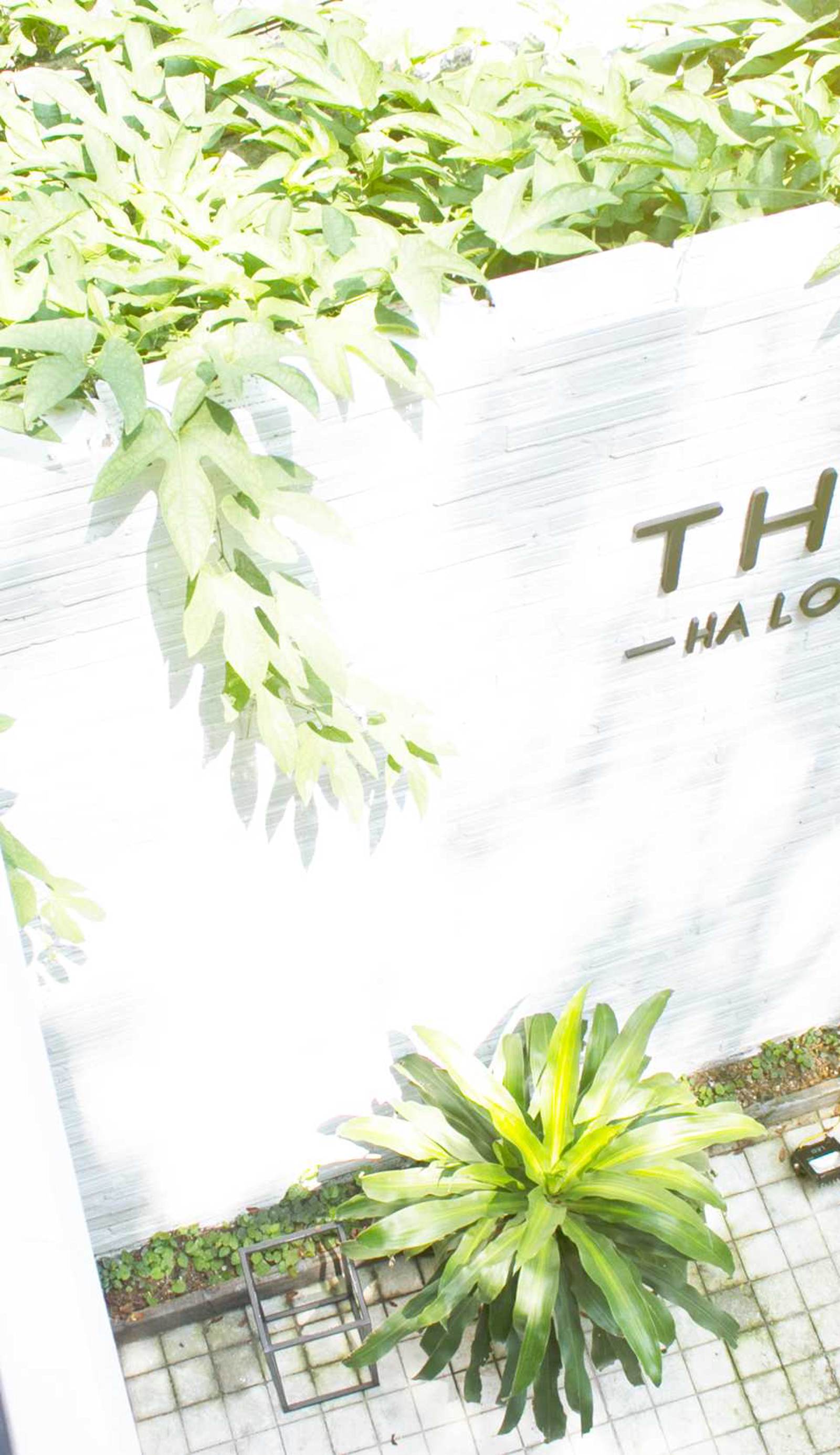 The Bay - Ha Long Homestay