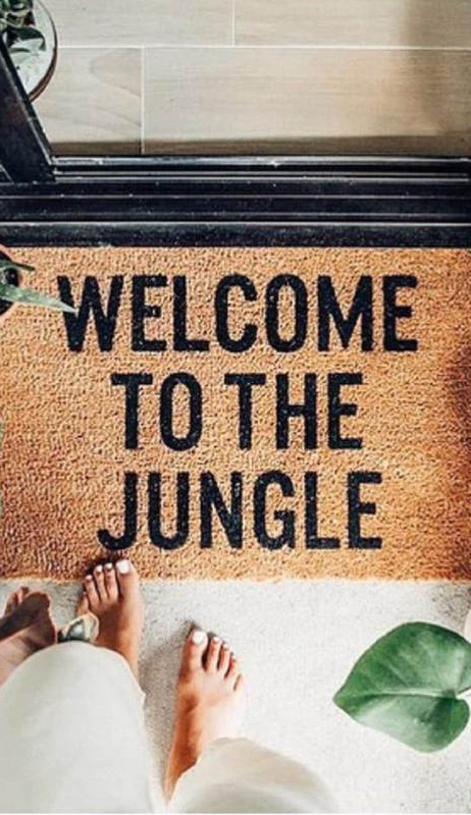The Urban Jungle Rooftop Hostel