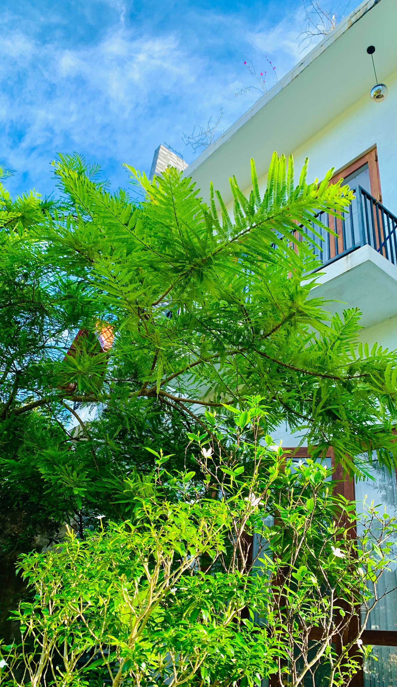 Jungle City Hostel