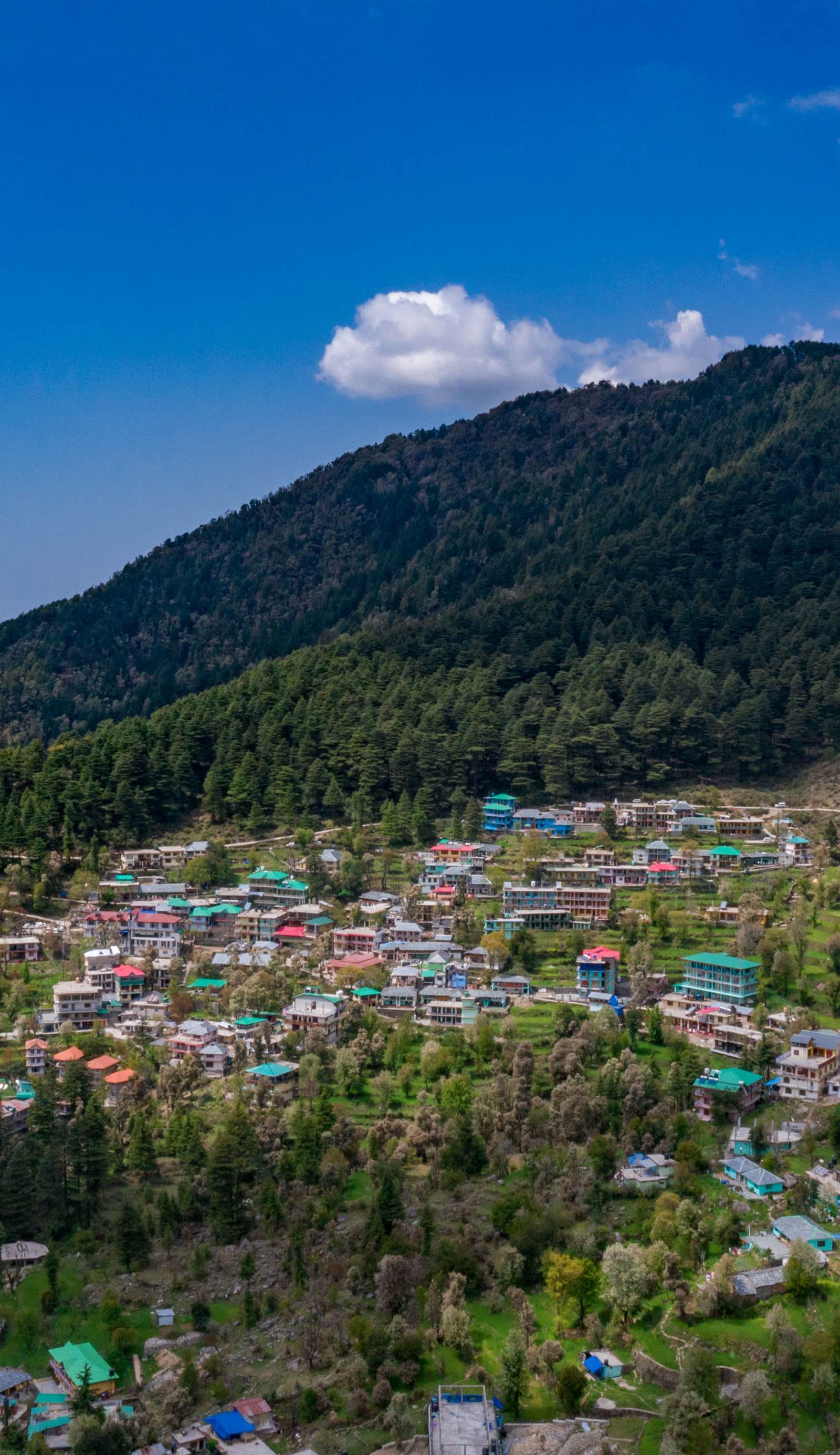 Alt Life - Dharamkot (Mcleodganj)