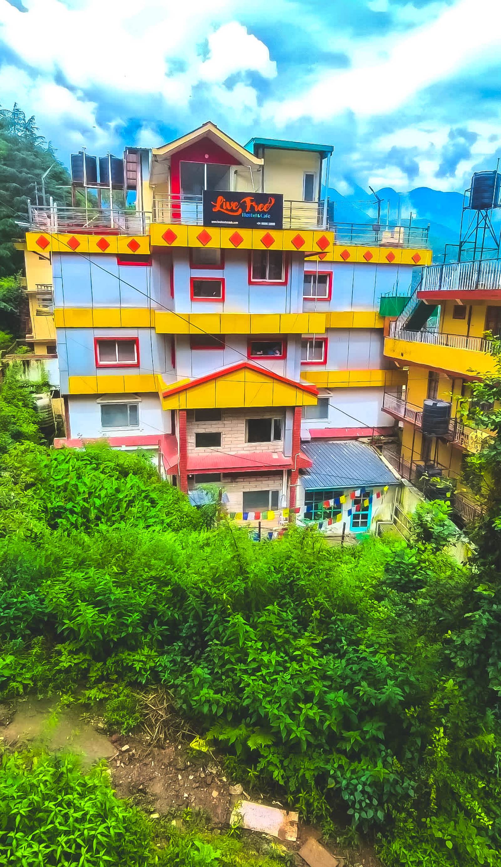 Live Free Hostel