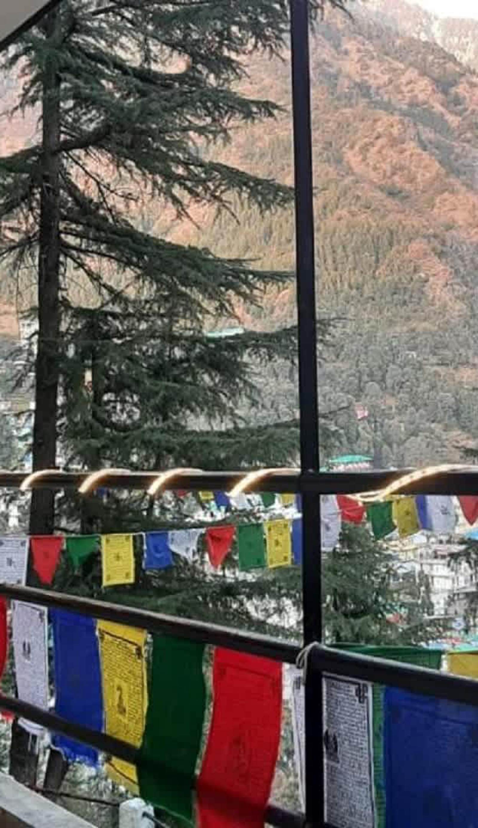 Thrillomania Mcleodganj
