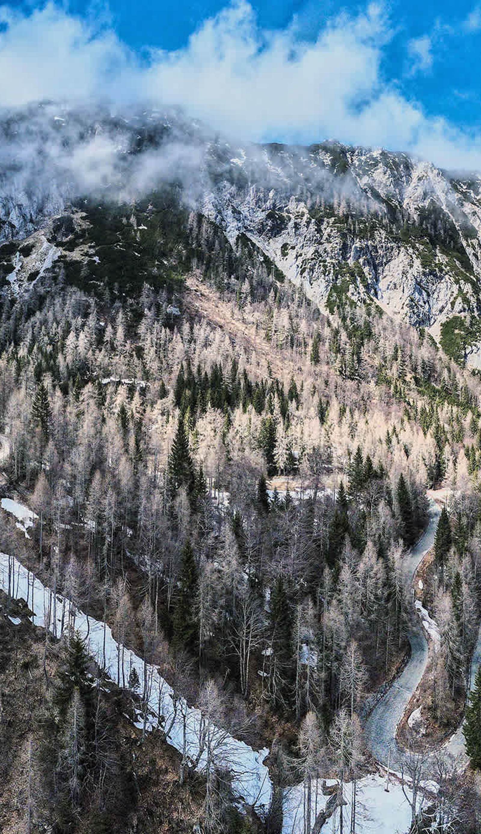 Erjavceva hut