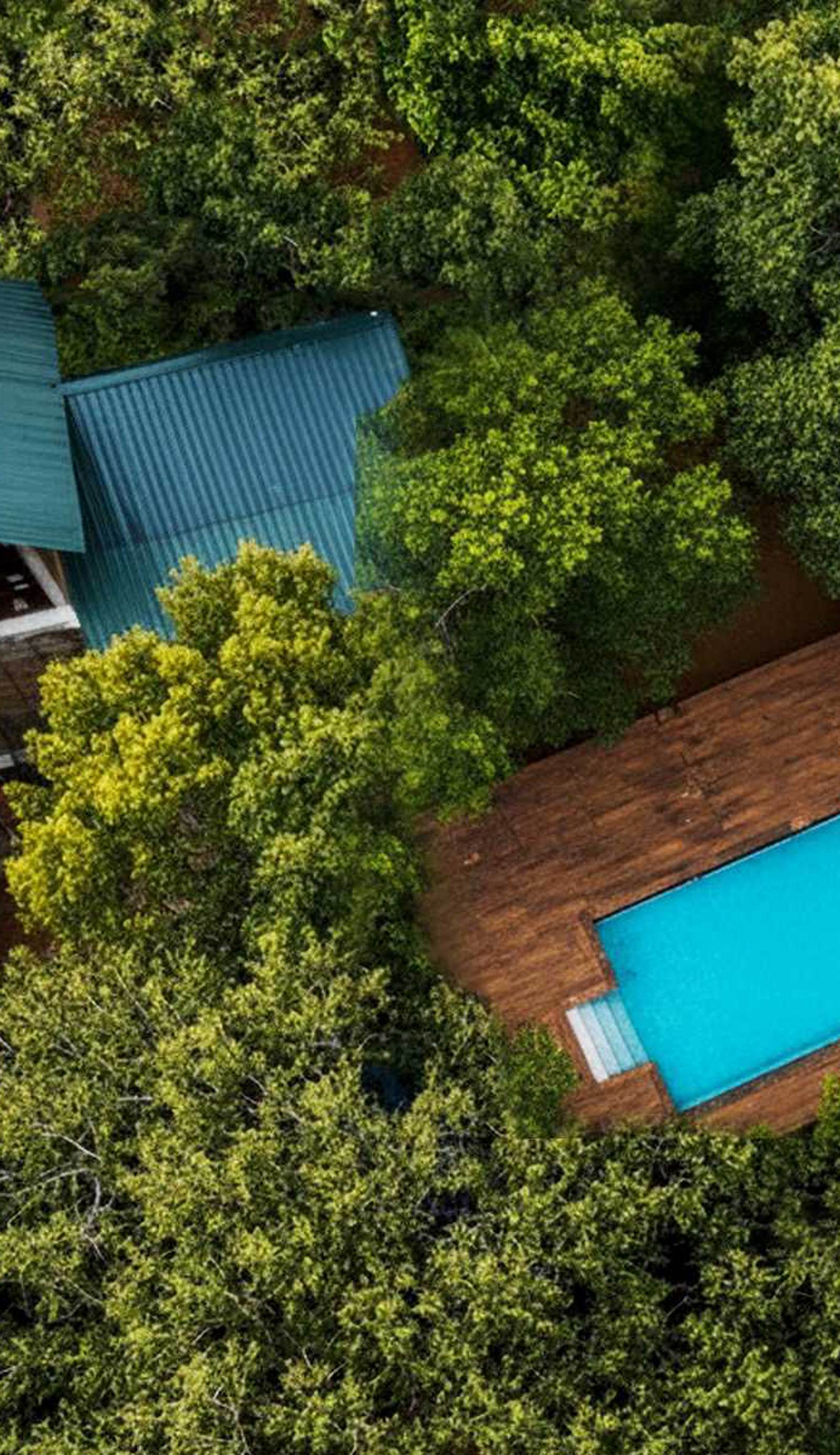 Tree House Hostel Sigiriya
