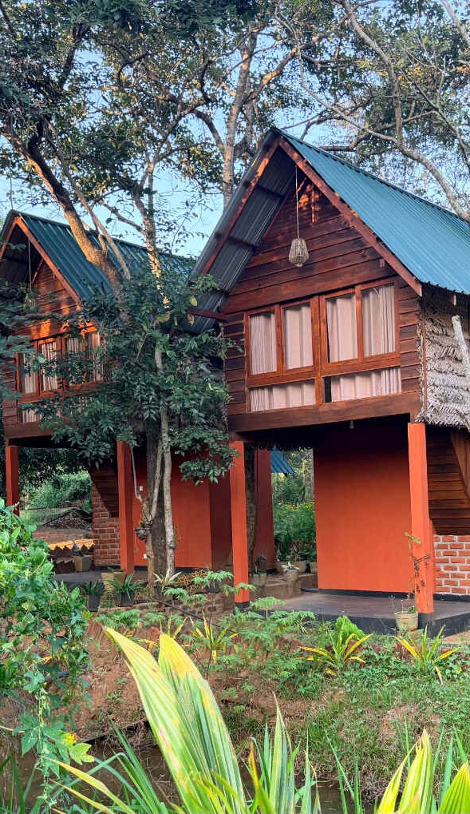 Mango Tree Home Stay