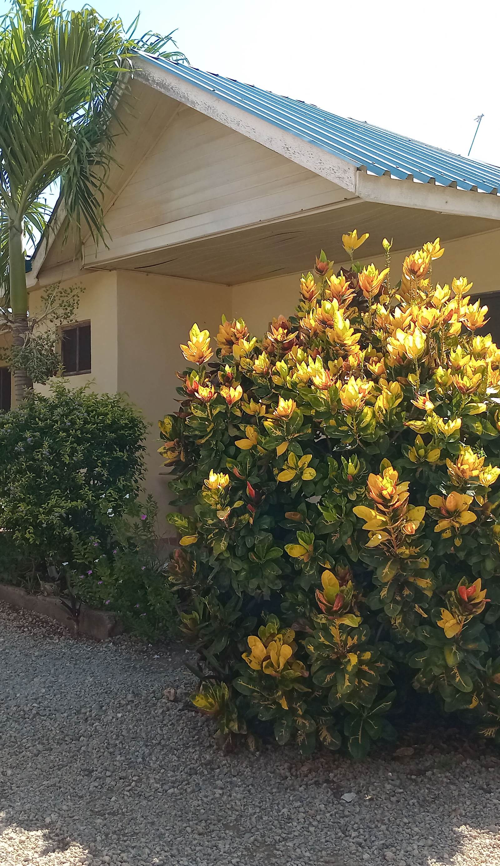 Language Point Cottages