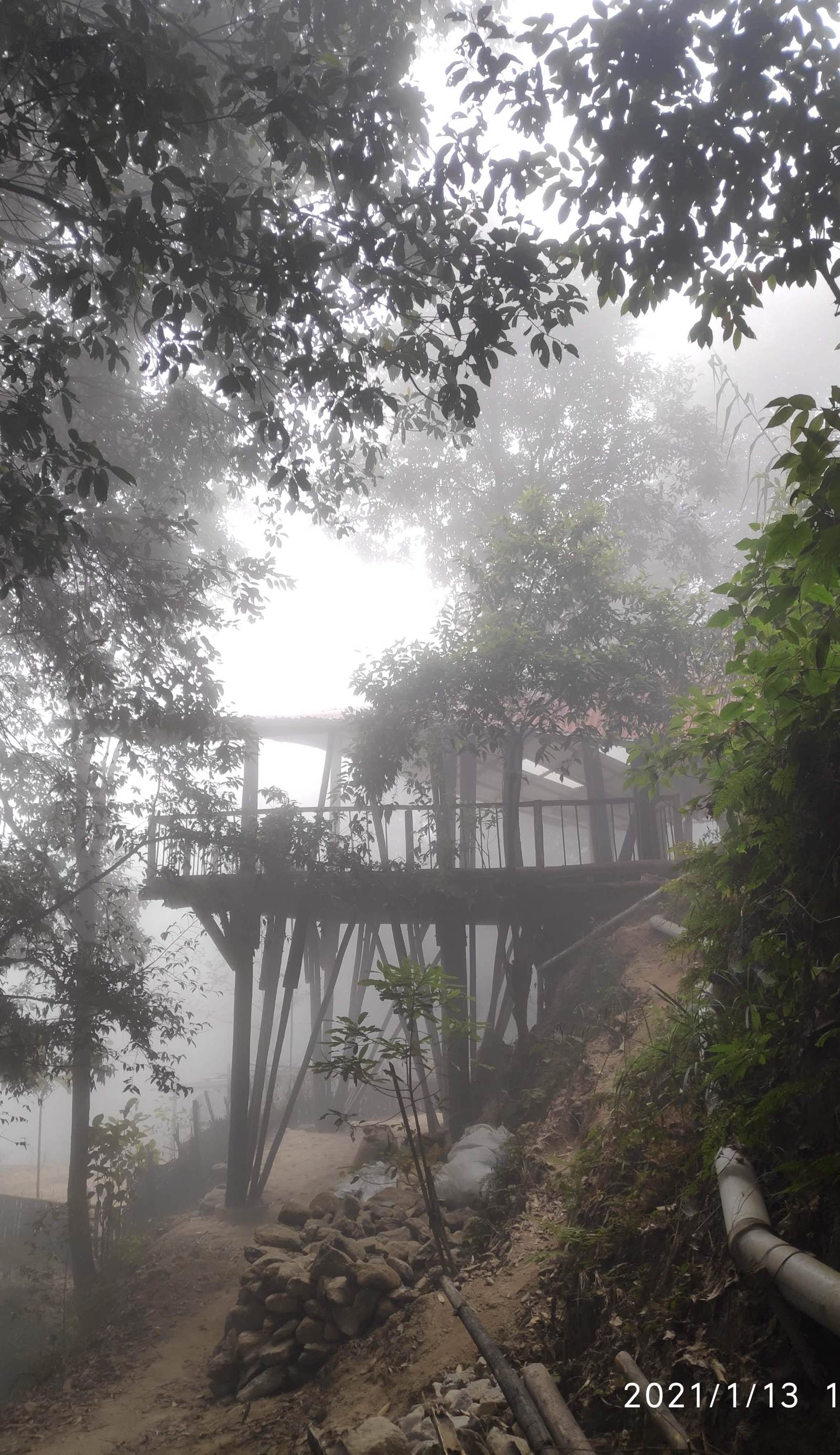 Tieedi Forest Garden