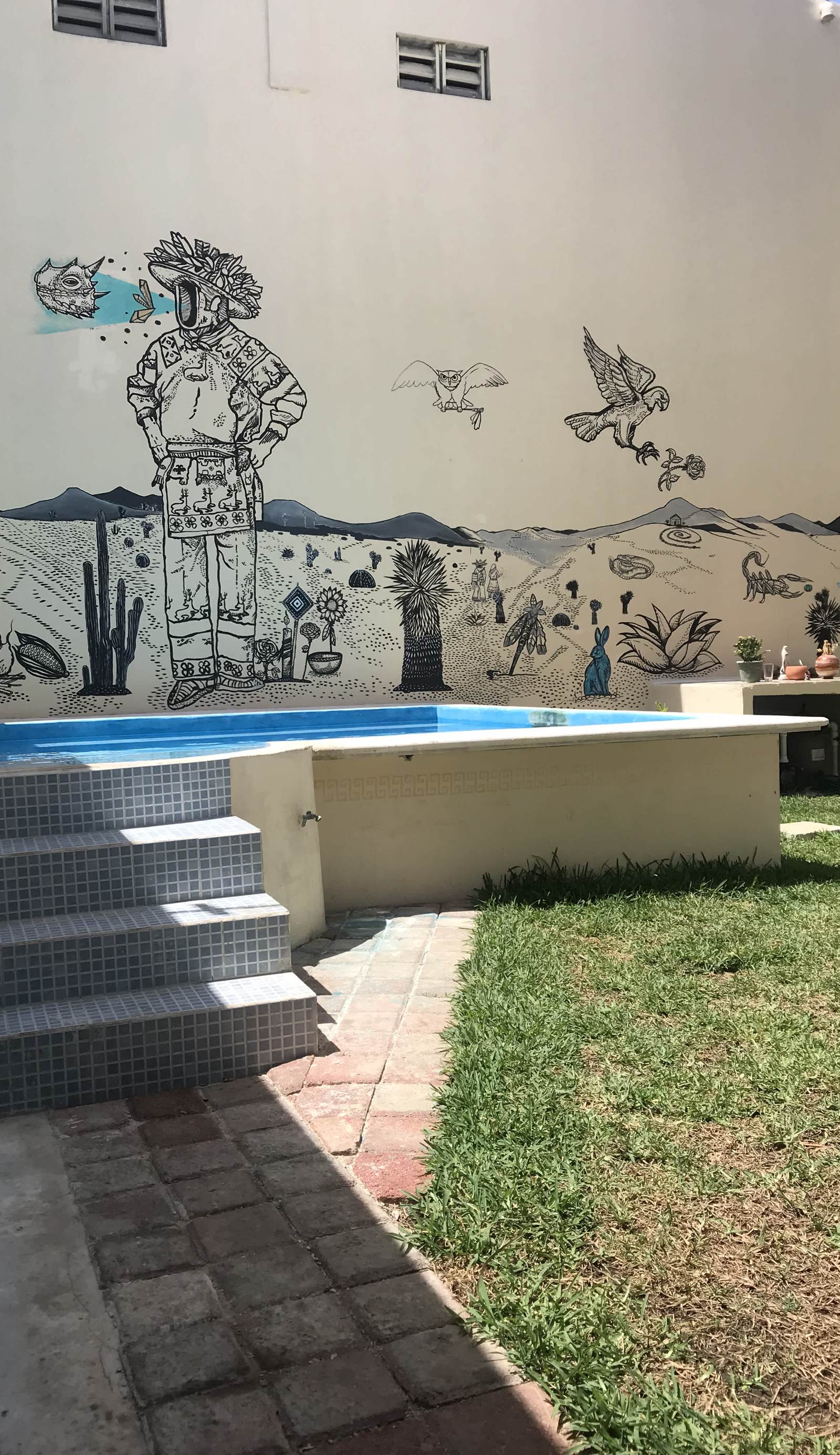 Hostal Venado 28