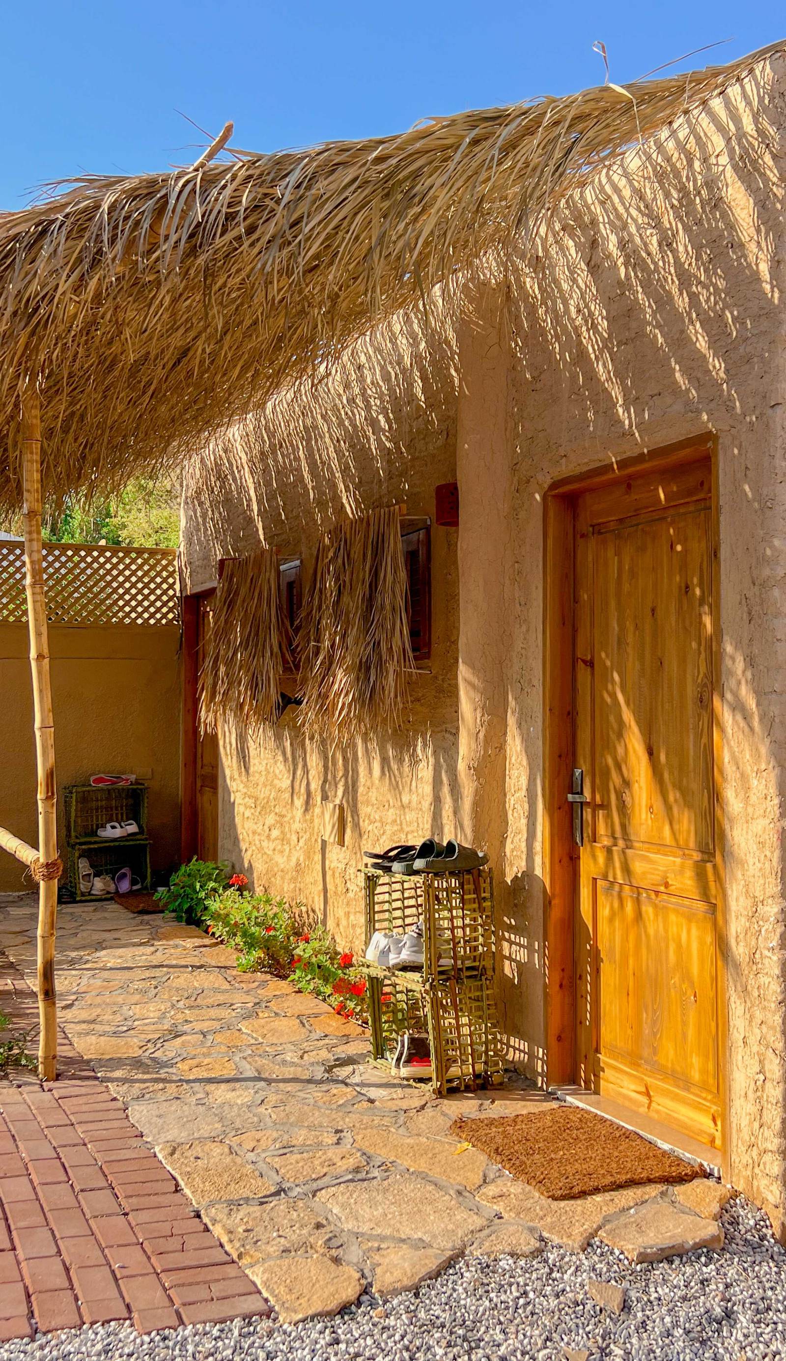 Rafiki Oasis