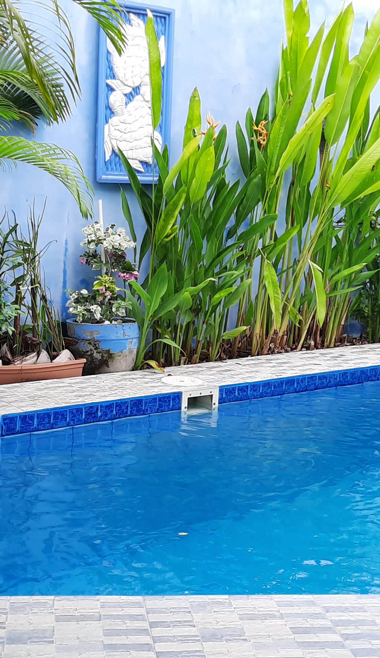 Serangan Turtle Island Homestay
