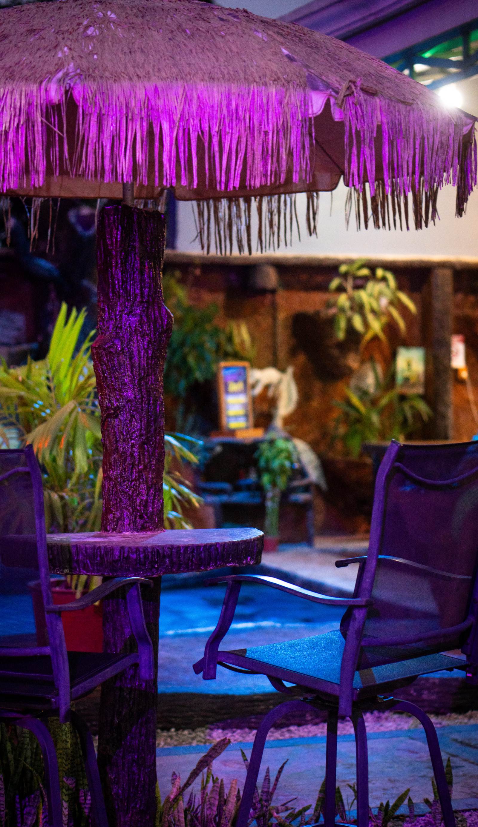 Arenal Hostel Resort