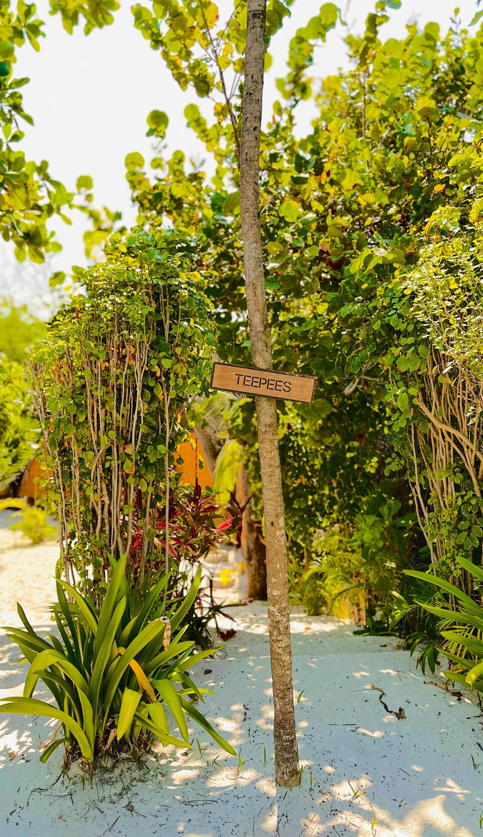 Mia Tulum Tribe