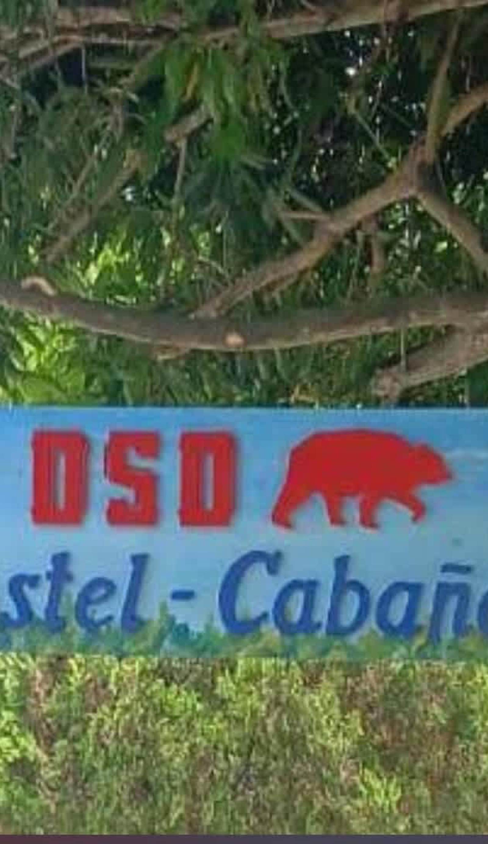 OSO Hostel