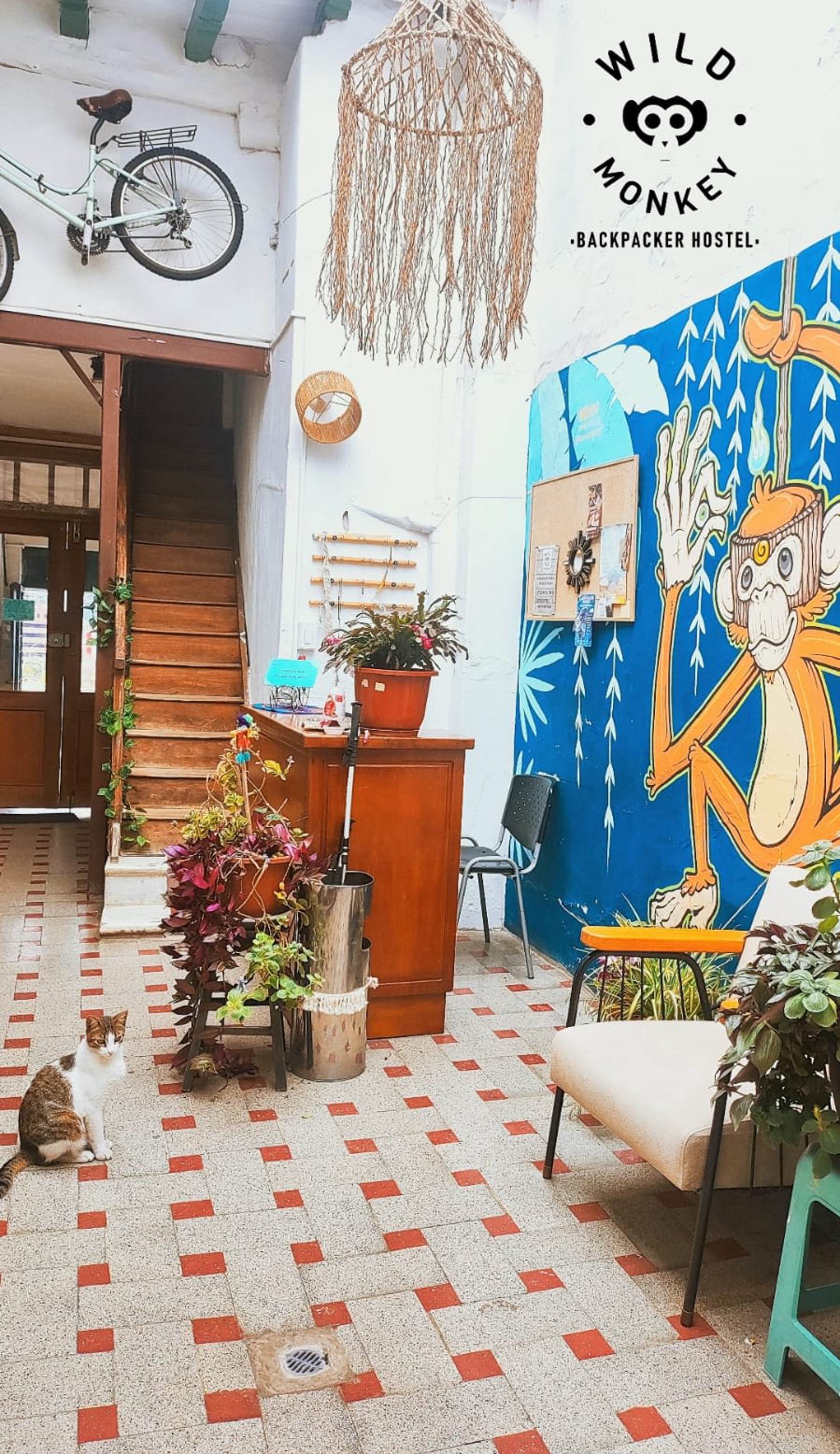 Wild Monkey Hostel