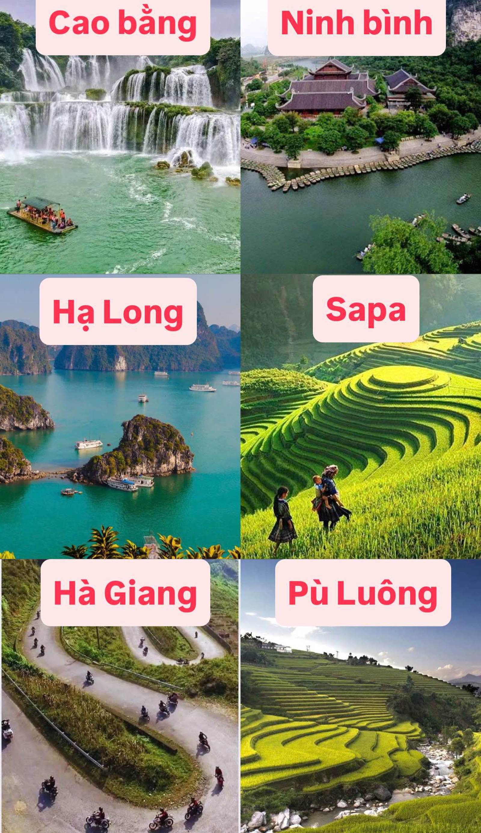 Tam Coc Guest House & Hostel