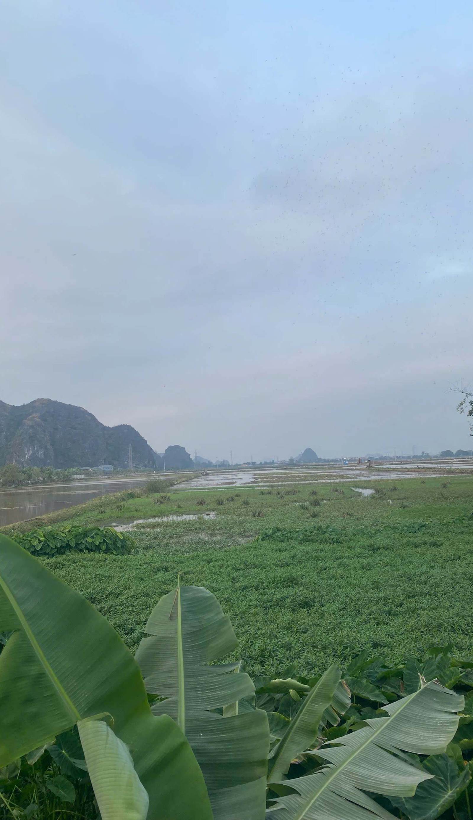 Tam Coc Your Home Hostel