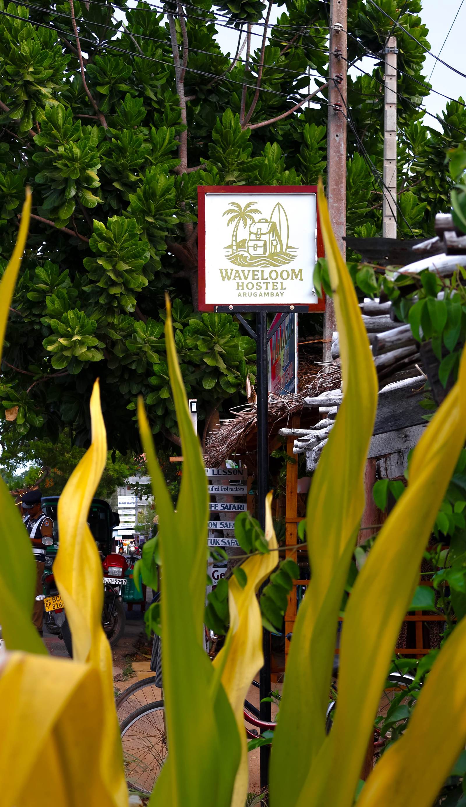 Wave Loom Hostel