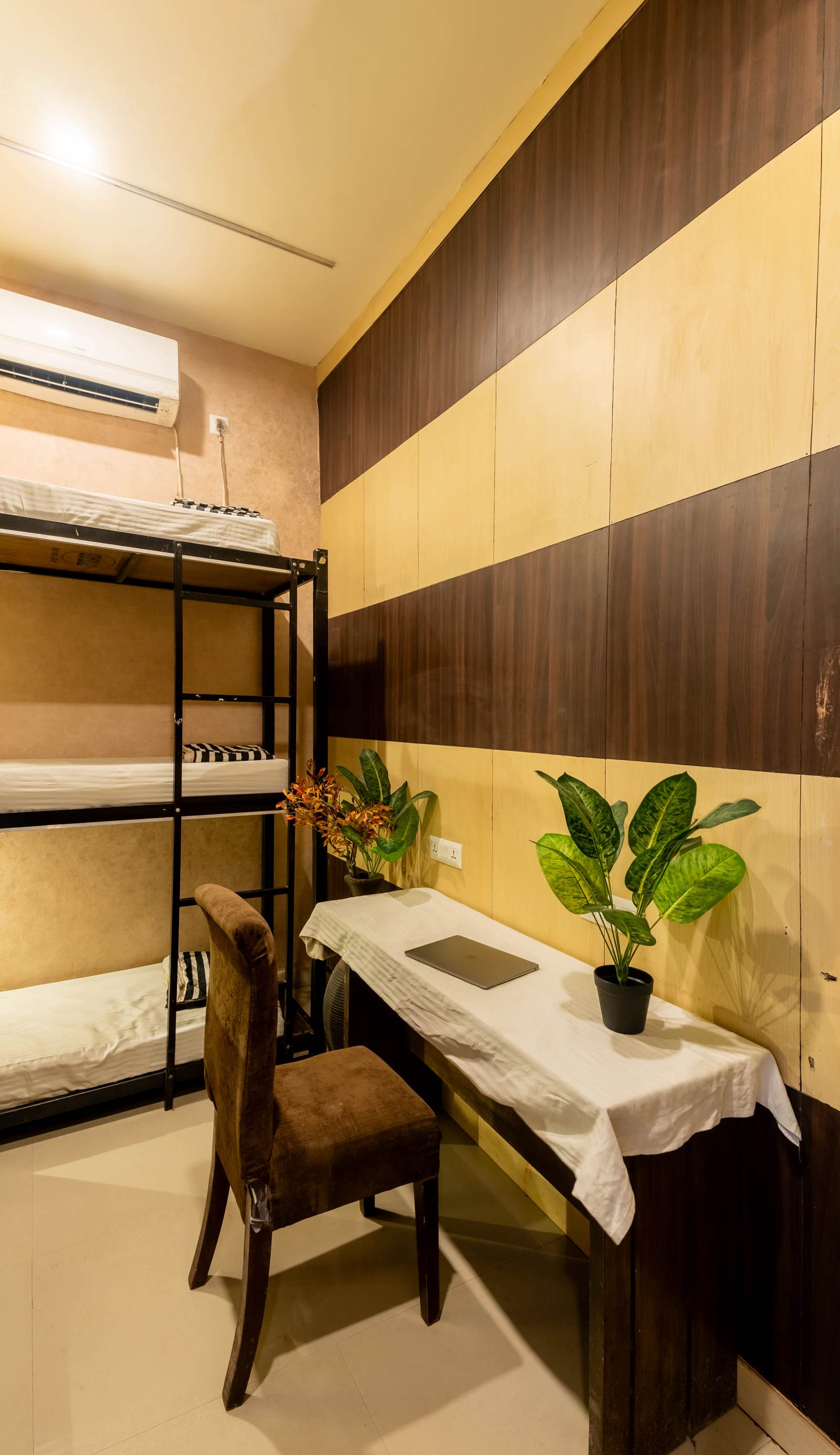 Social Safari Hostel