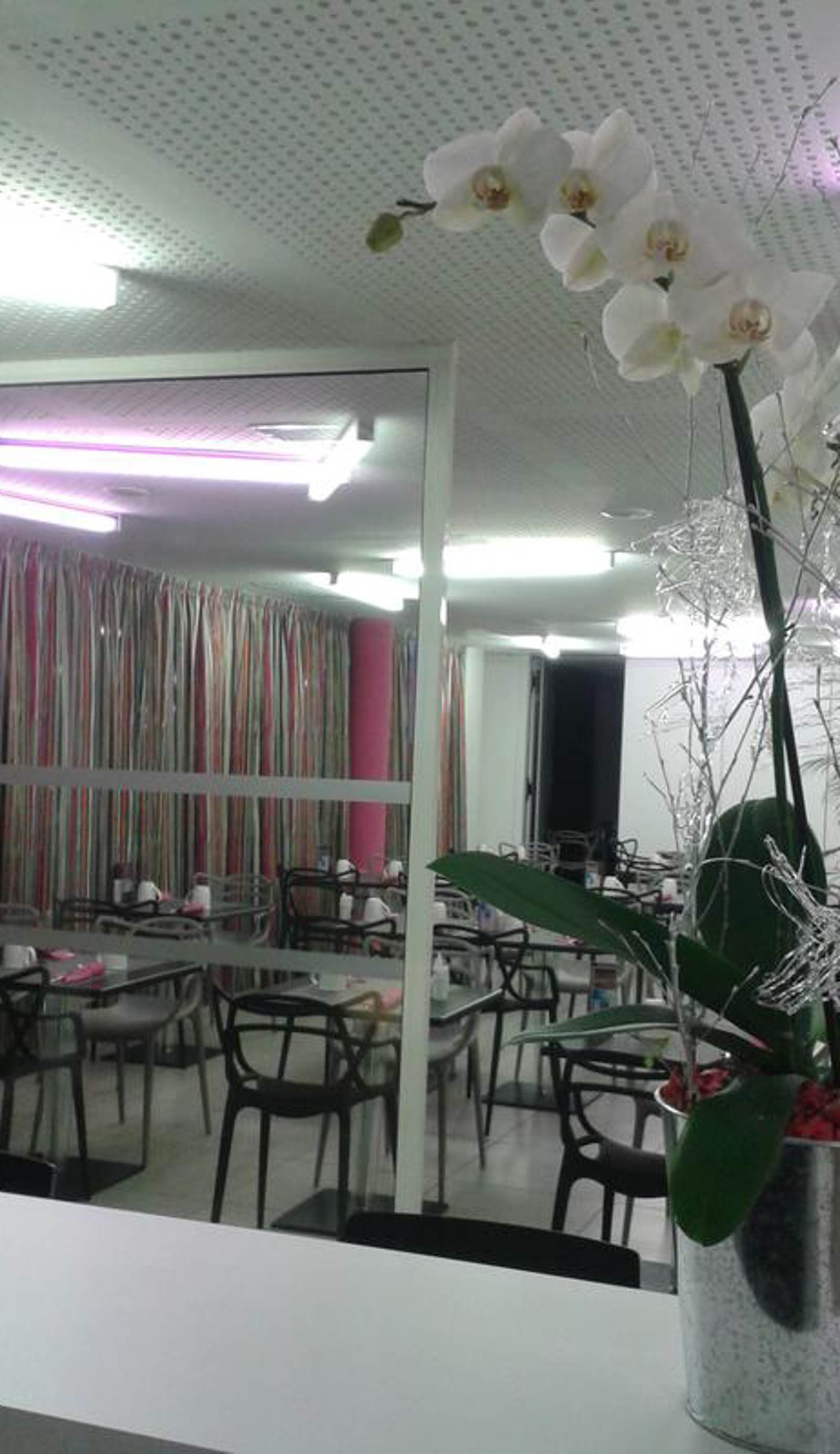 NexHôtel