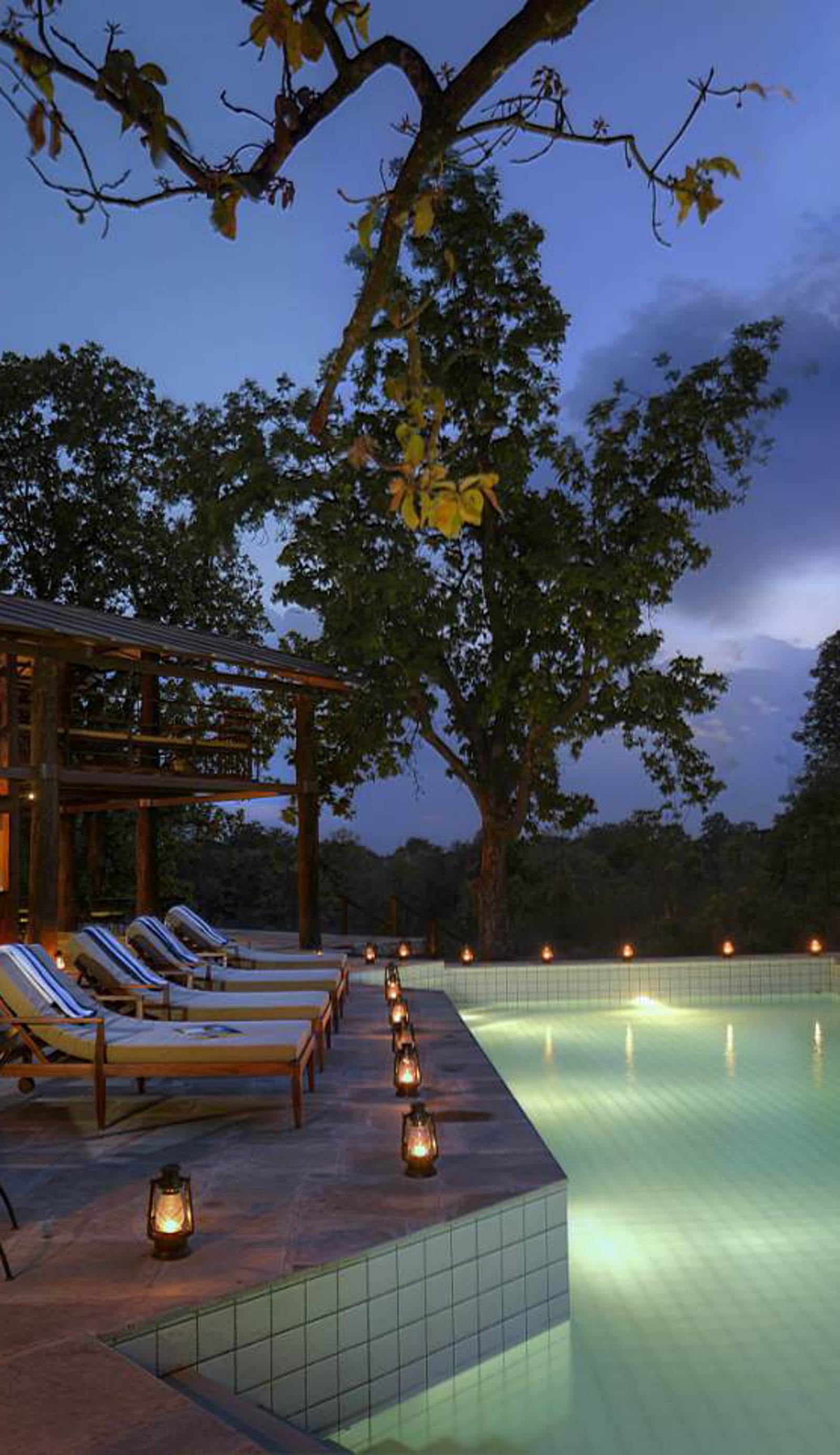 Pench Tree Lodge