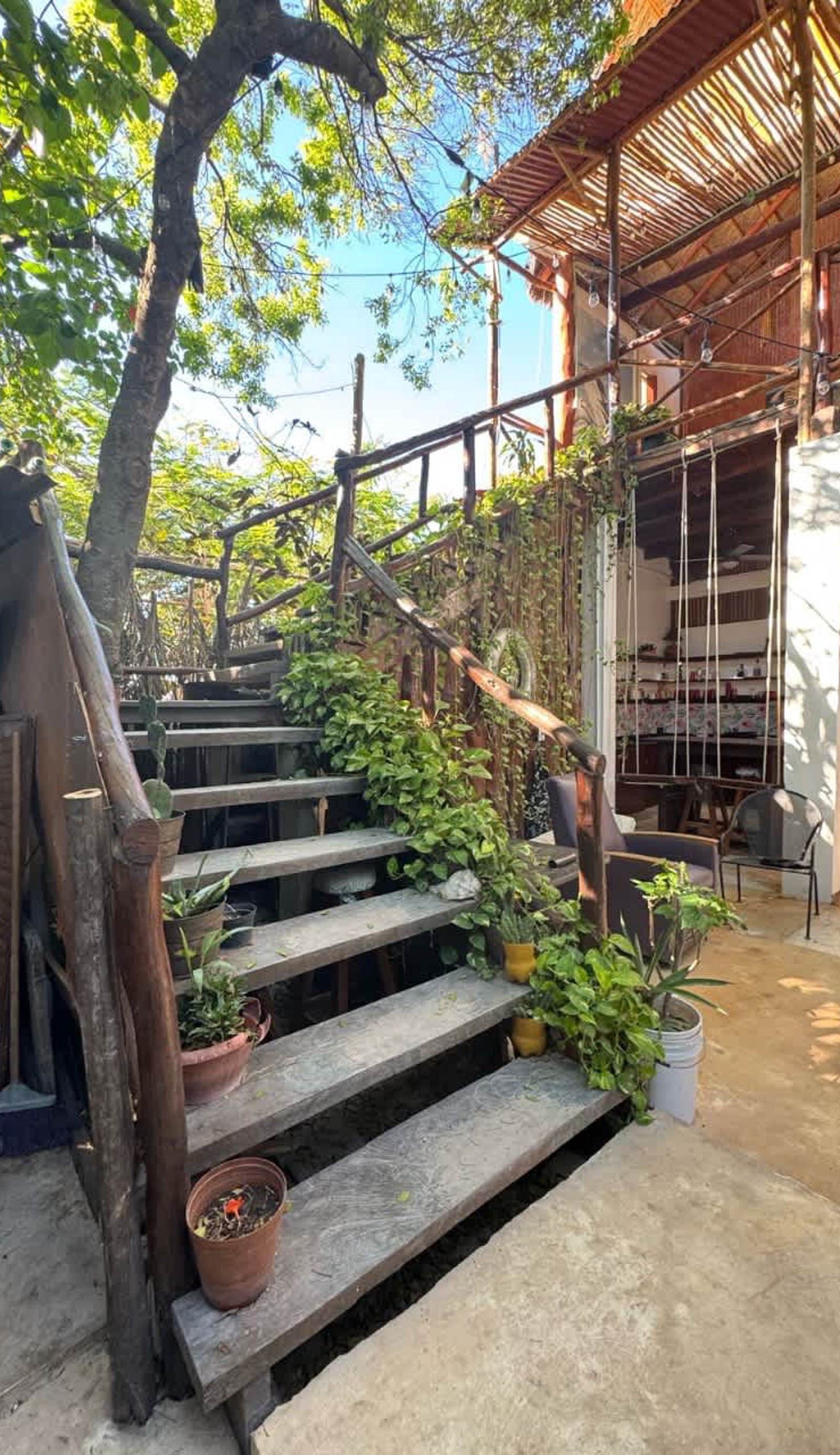 Hostal Holbox House
