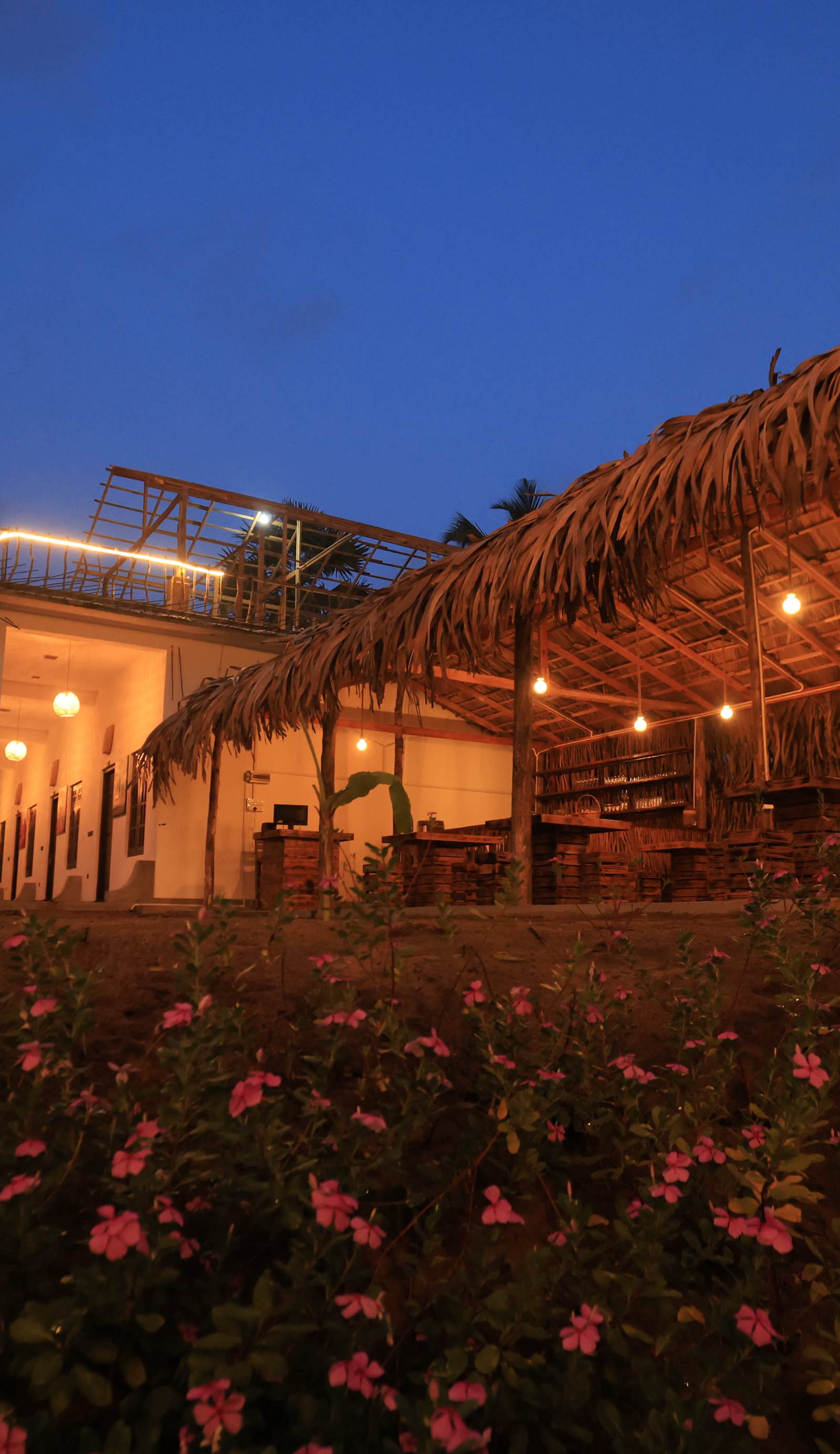 Saltwater Surf Camp