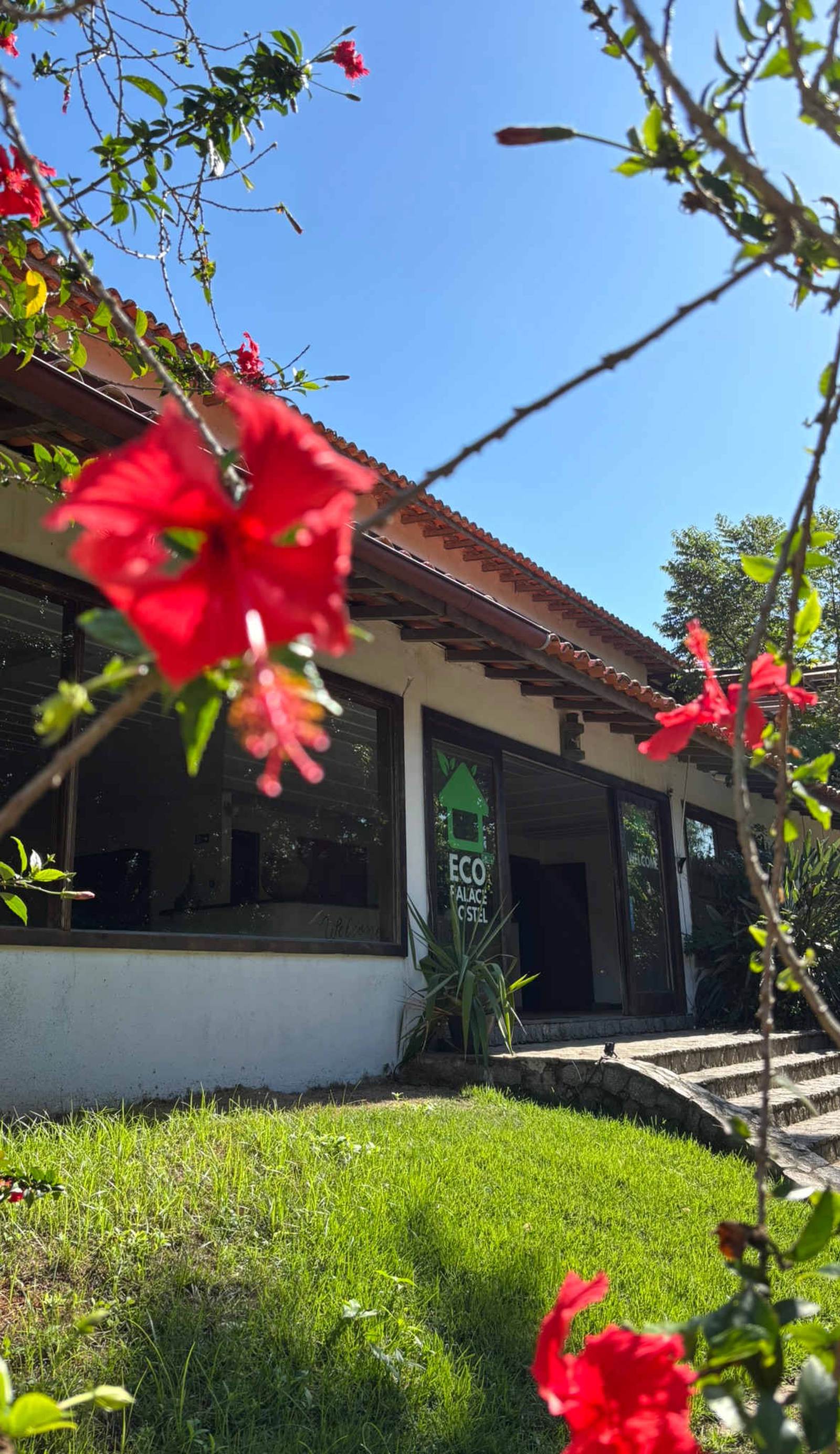 The Eco Palace Hostel