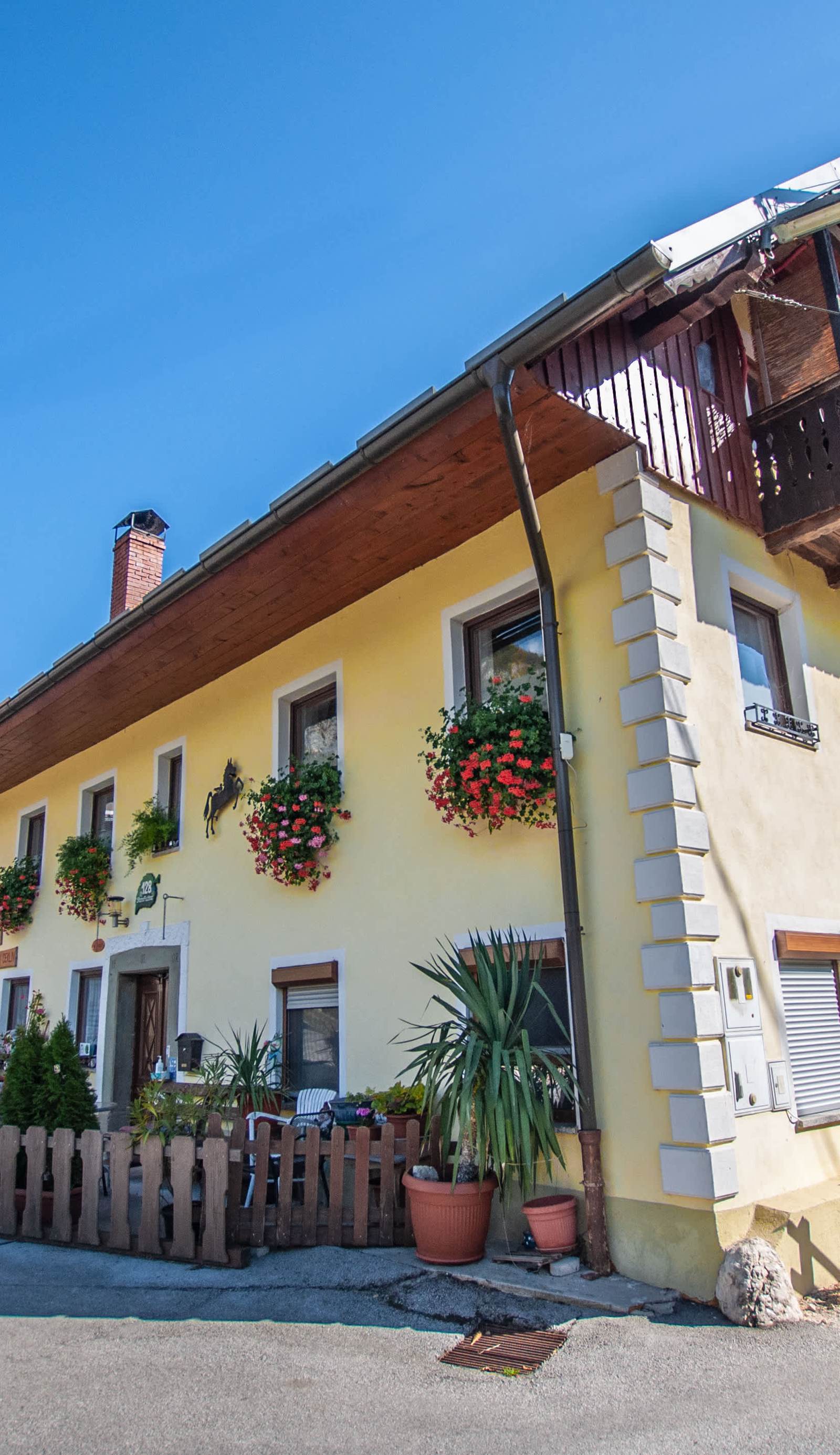Hostel Rooms and Apartment Ceklin
