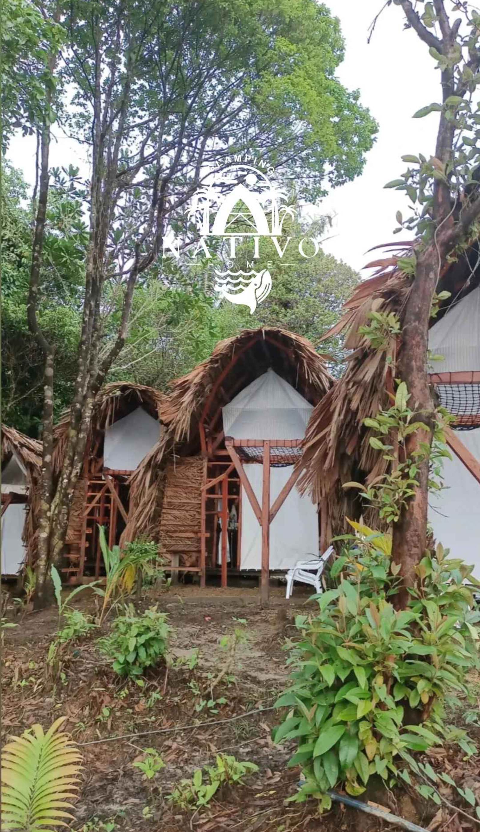 Nativo home