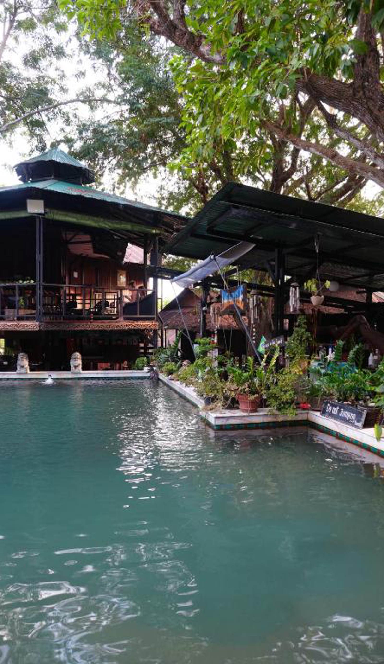 Tropical Hostel