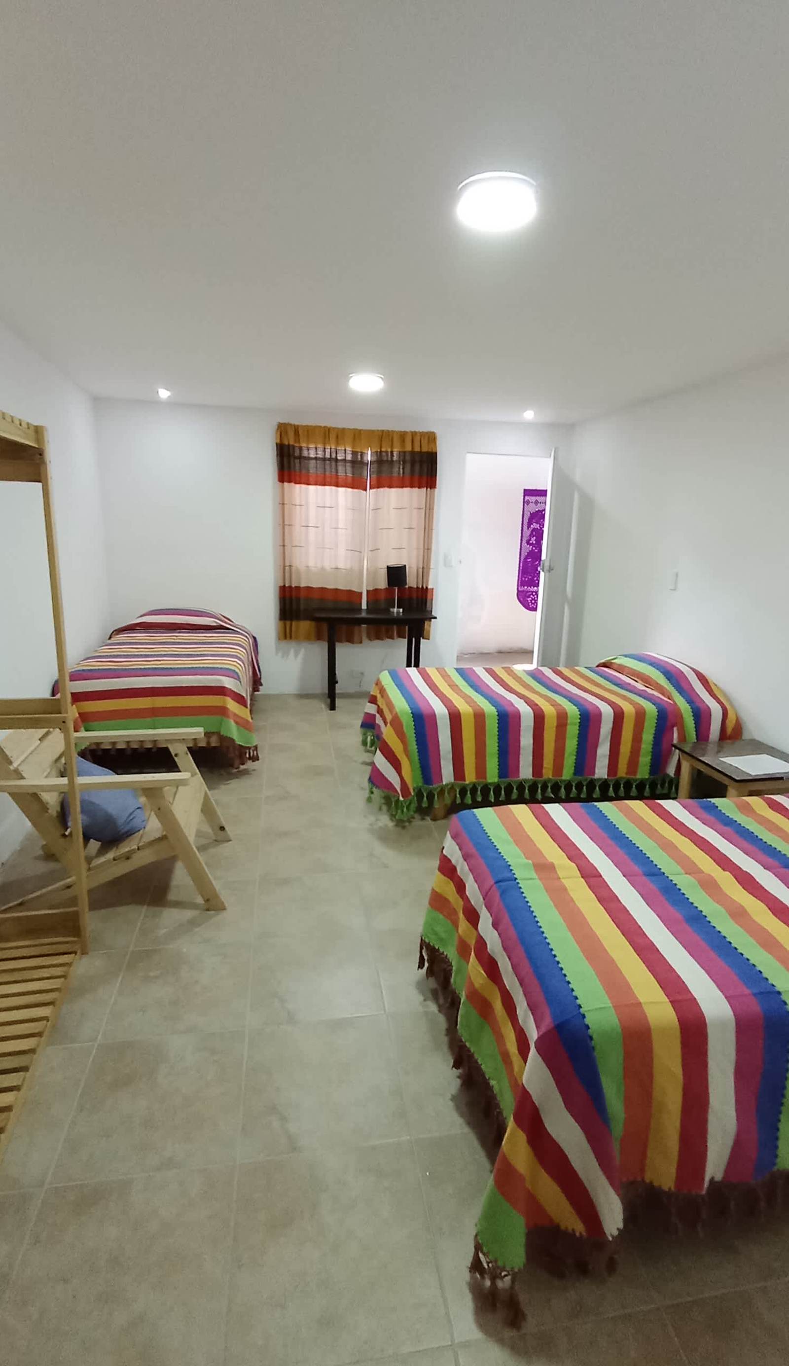Iguana Coliving