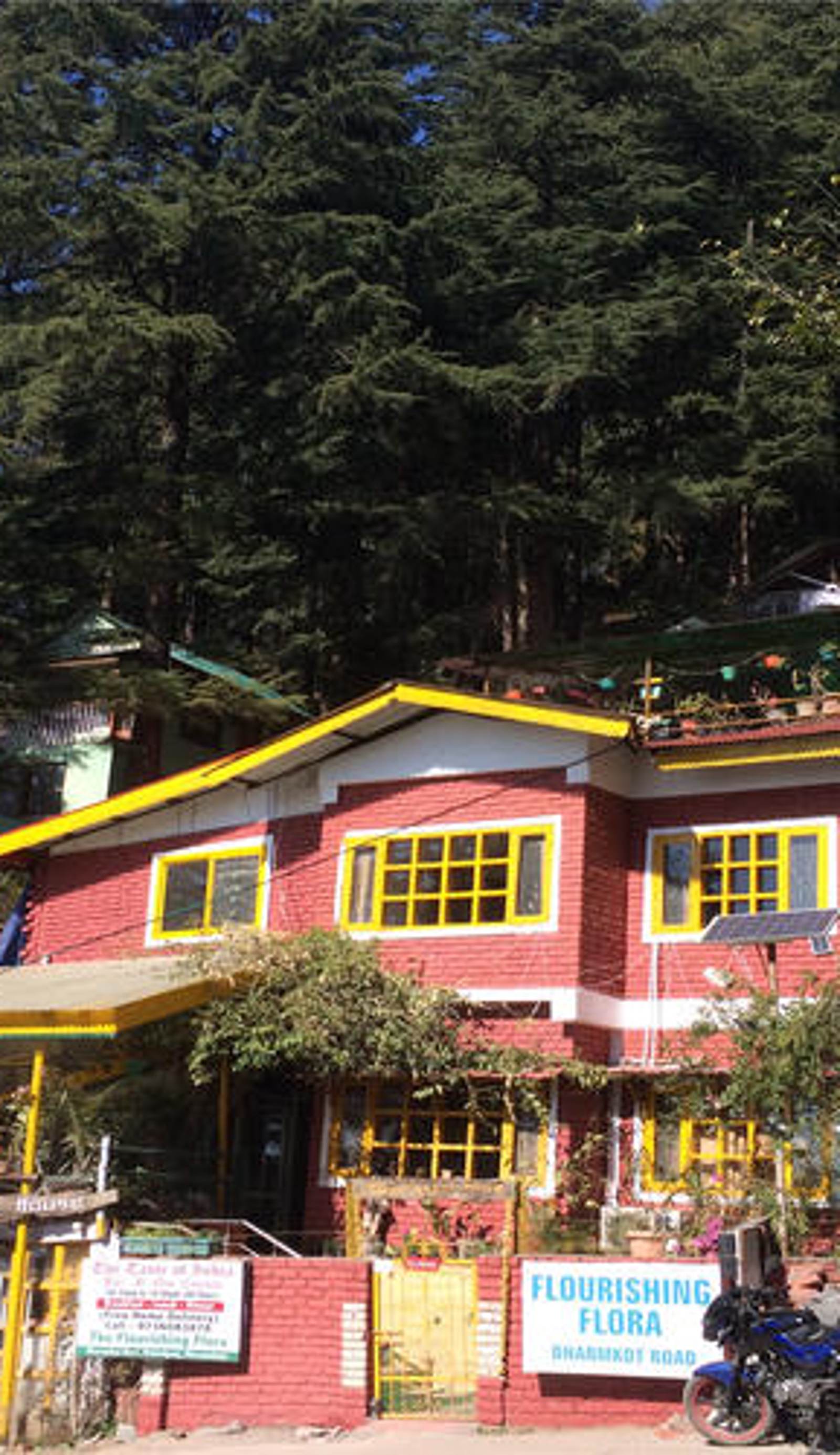 McLeodGanj Homestay at The Flourishing Flora