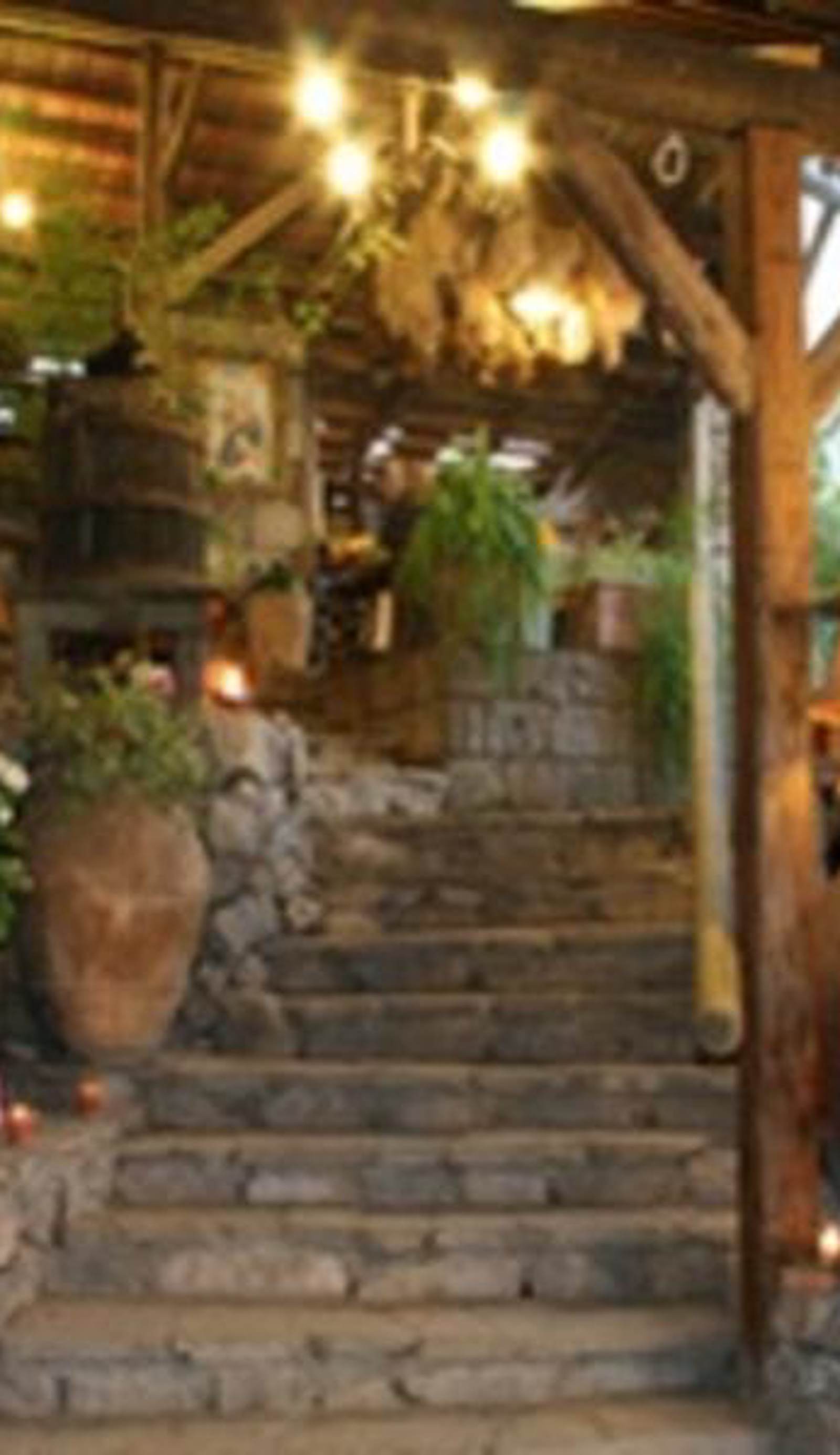 Agriturismo Fattoria Terranova