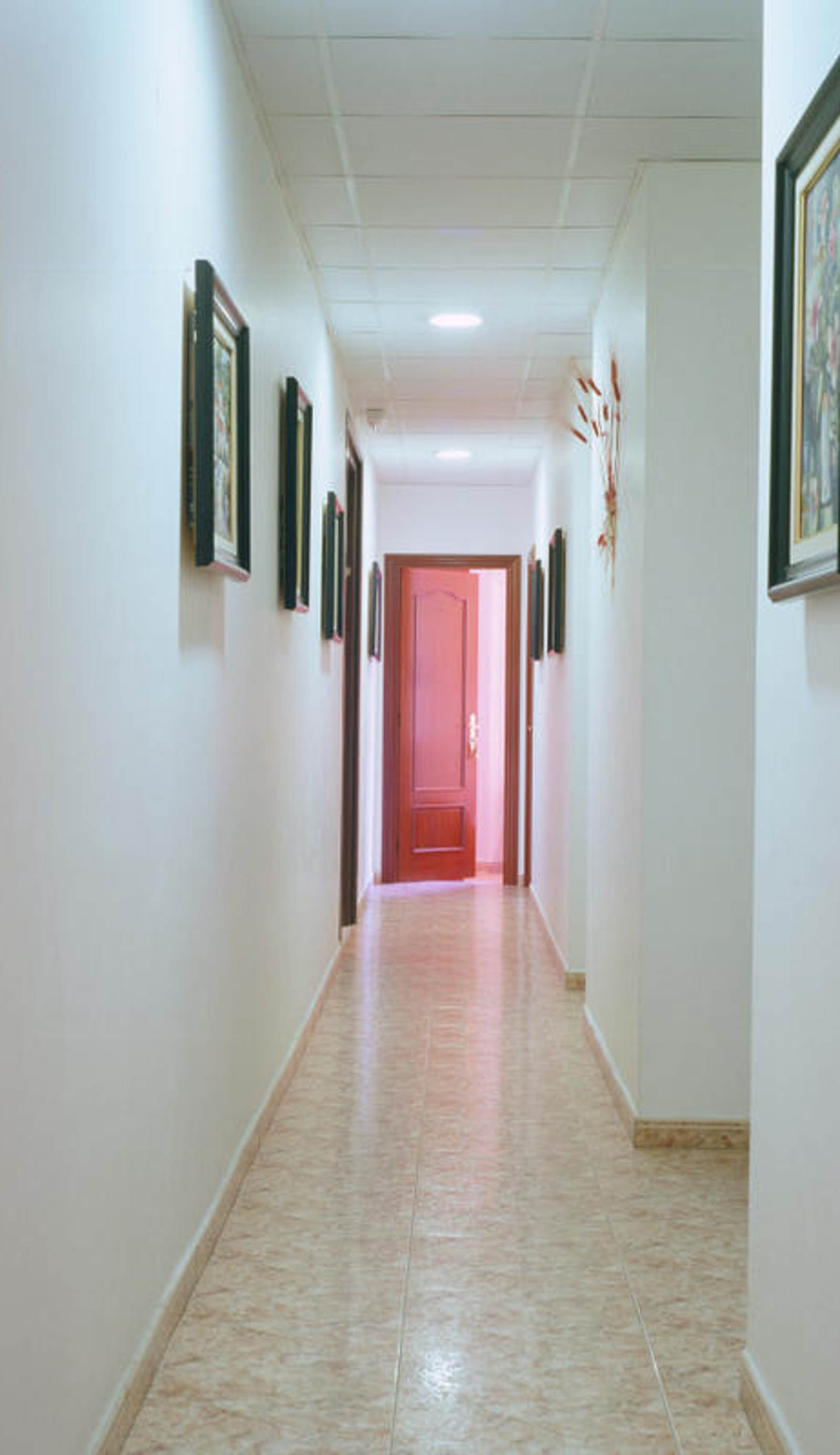 Hostal Orleans